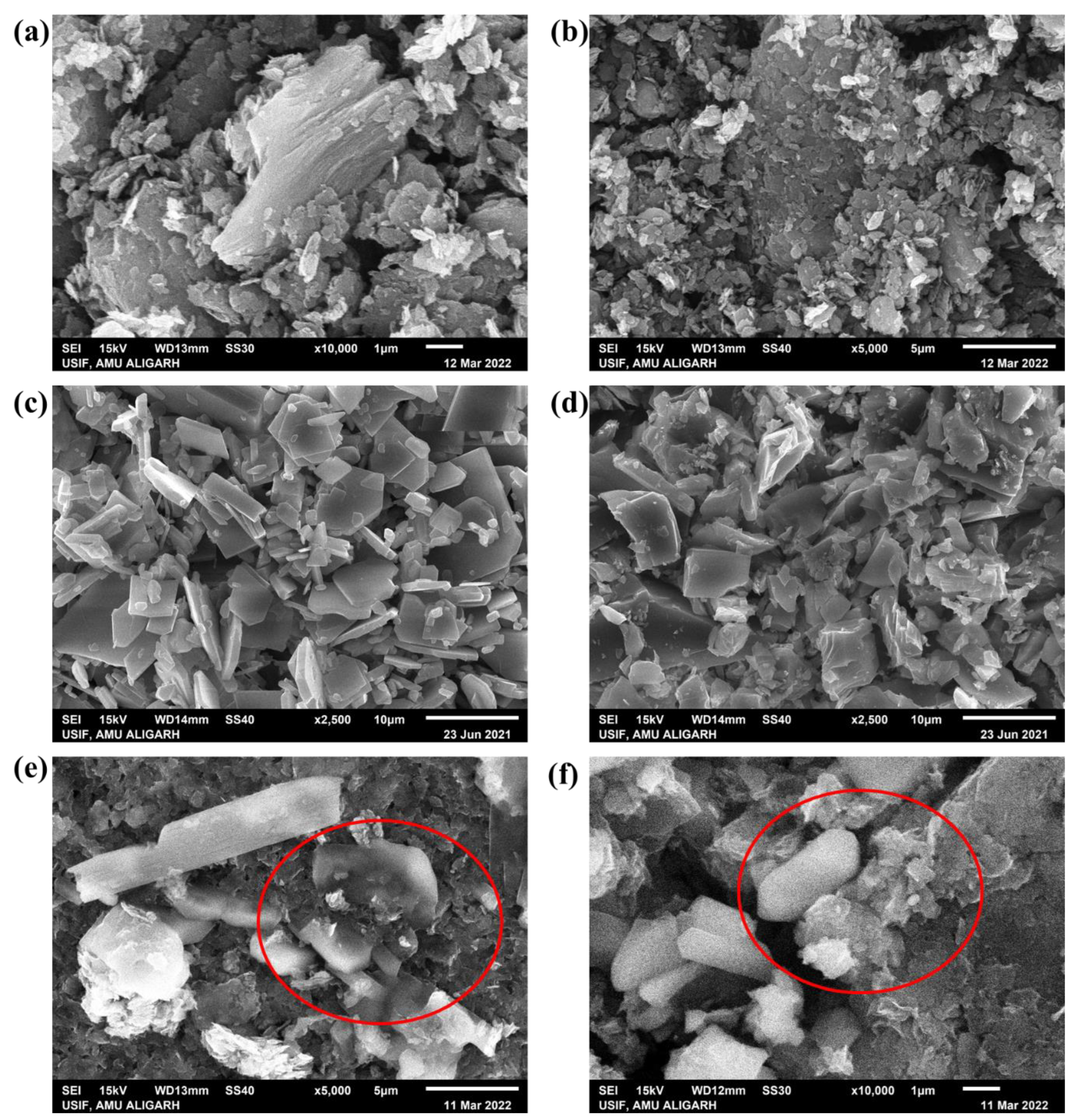 Molecules 27 07592 g004