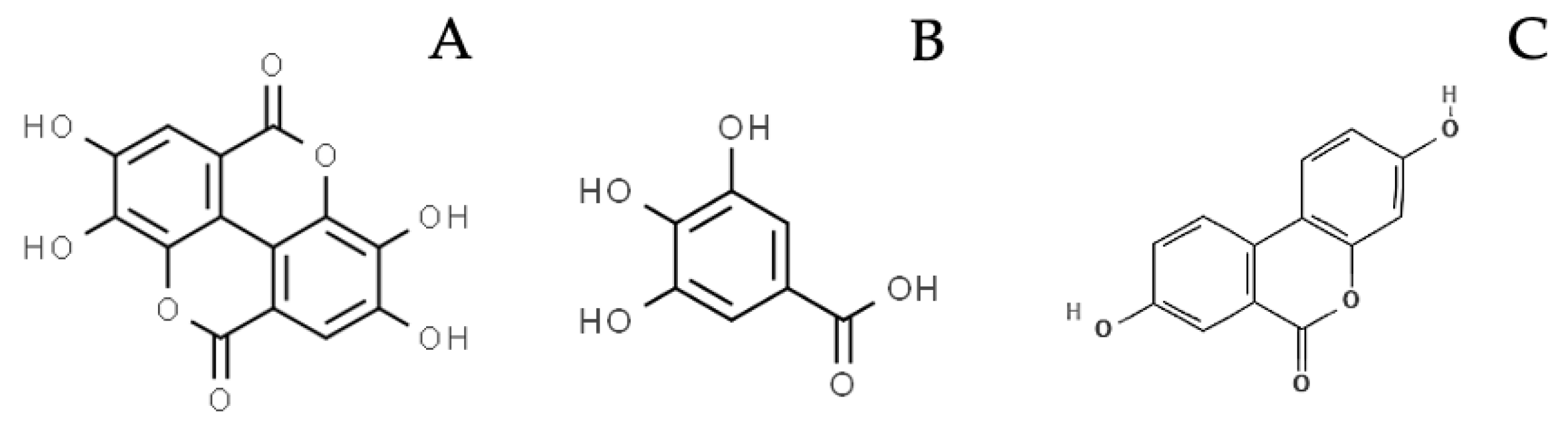 Molecules 27 07593 g002 Molecules 27 07593 g002