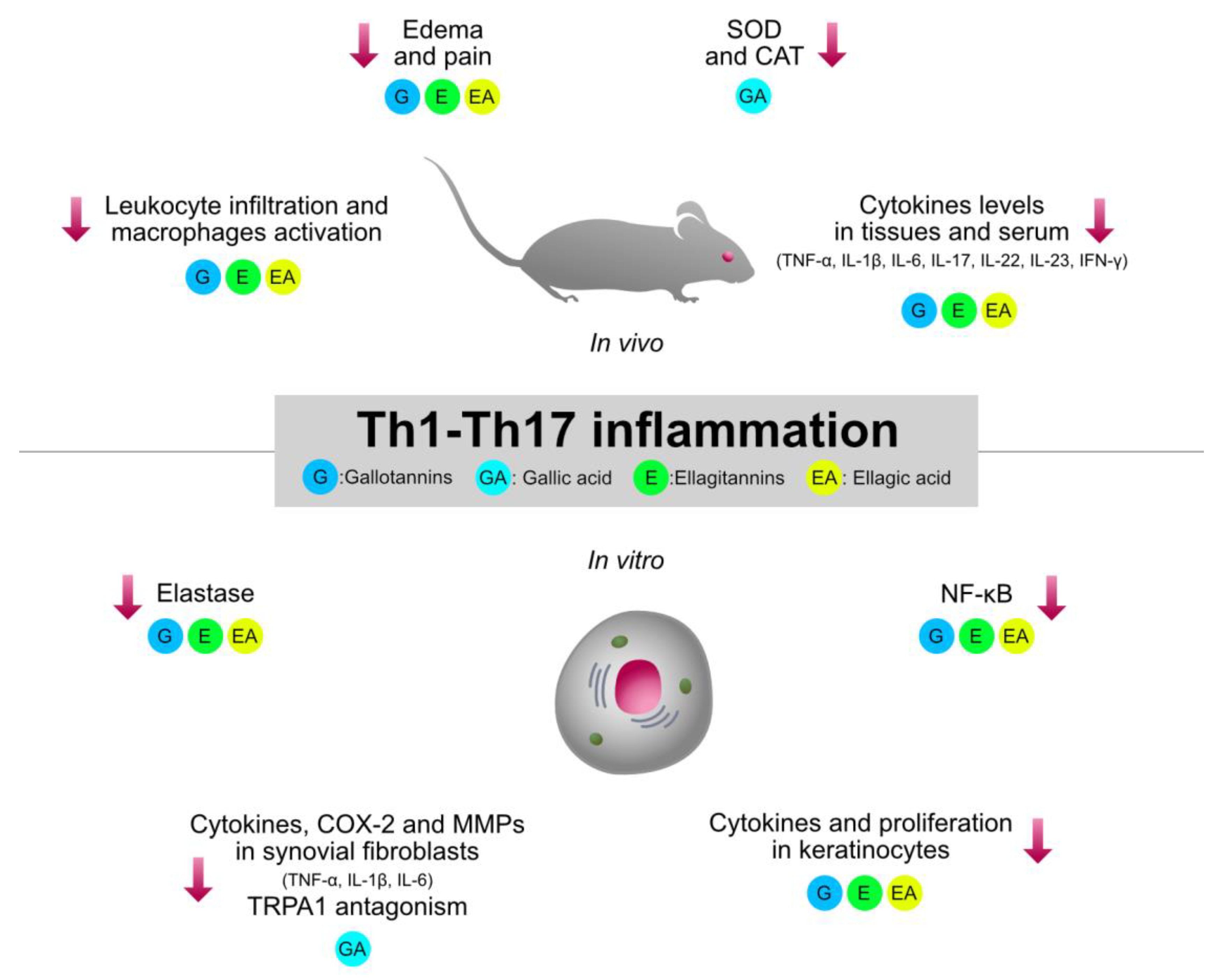 Molecules 27 07593 g003 Molecules 27 07593 g003