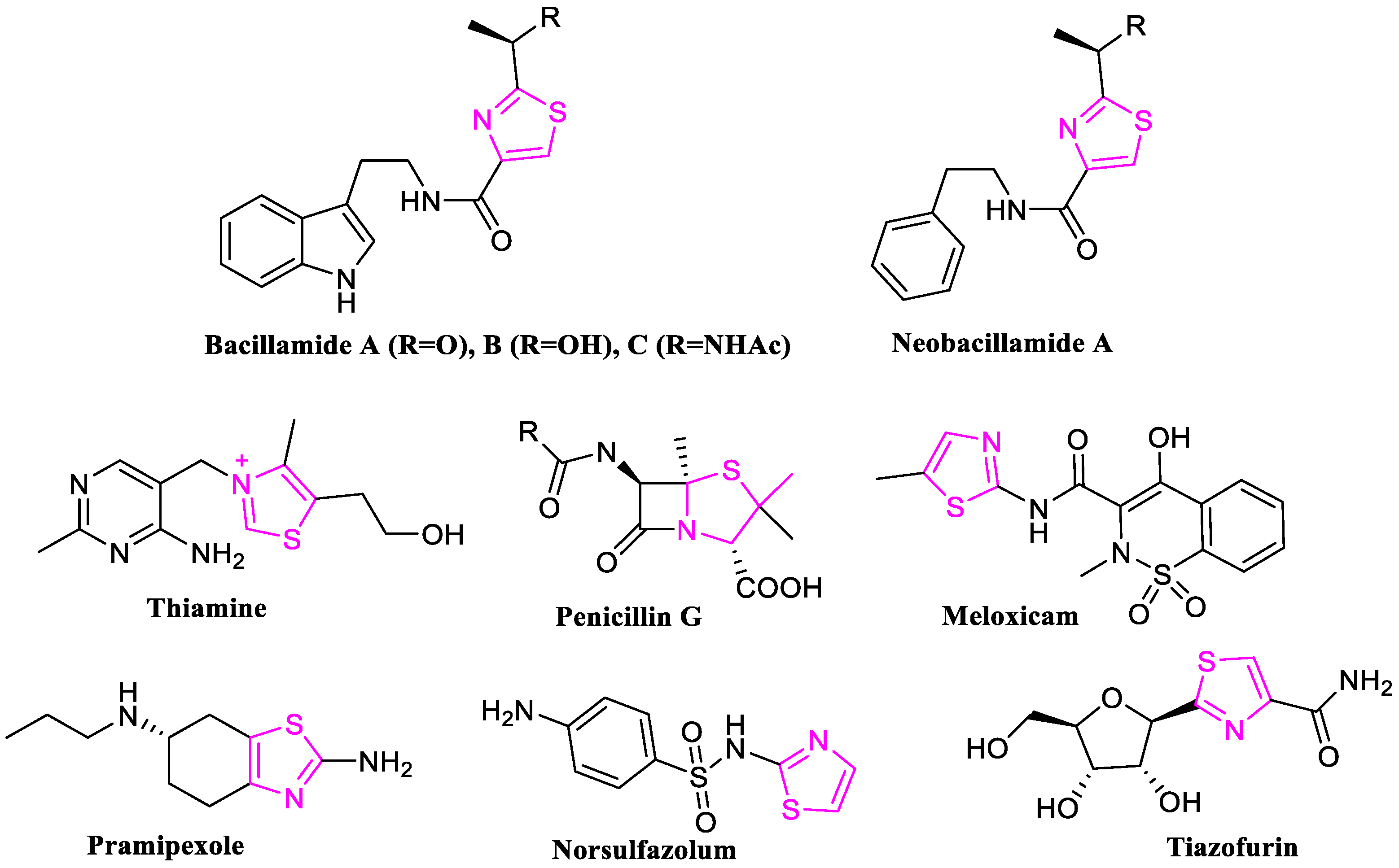 Molecules 27 07598 g001