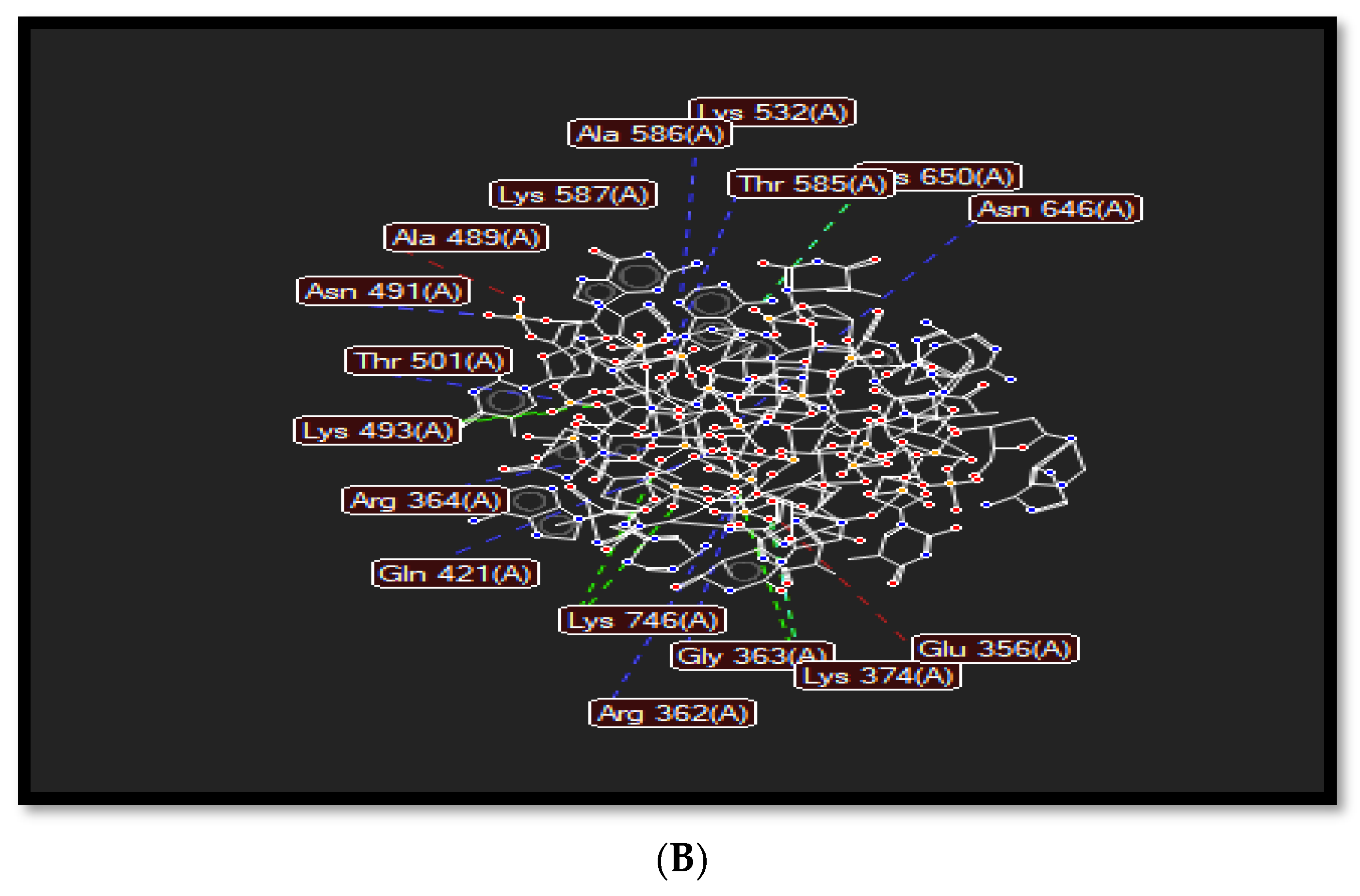 Molecules 27 07599 g003b Molecules 27 07599 g003b