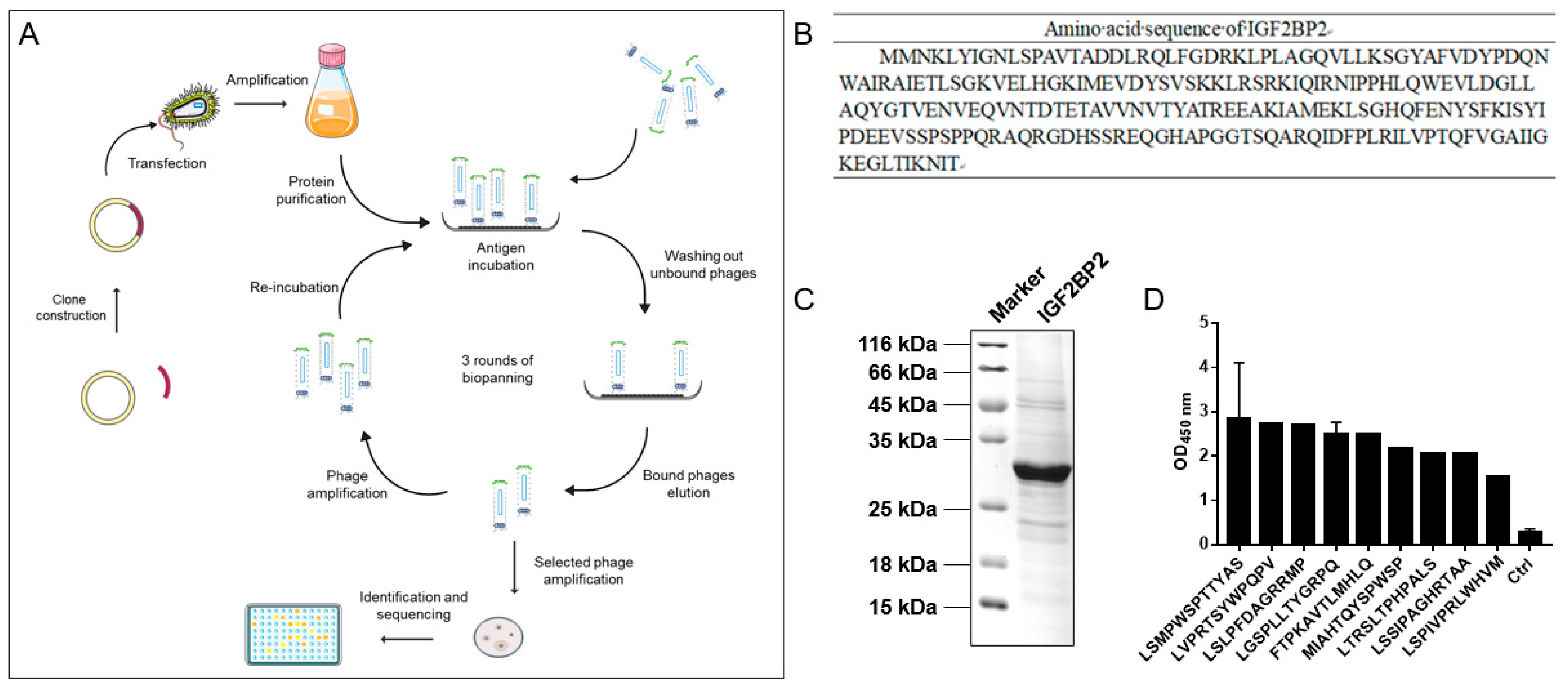 Molecules 27 07609 g002 Molecules 27 07609 g002