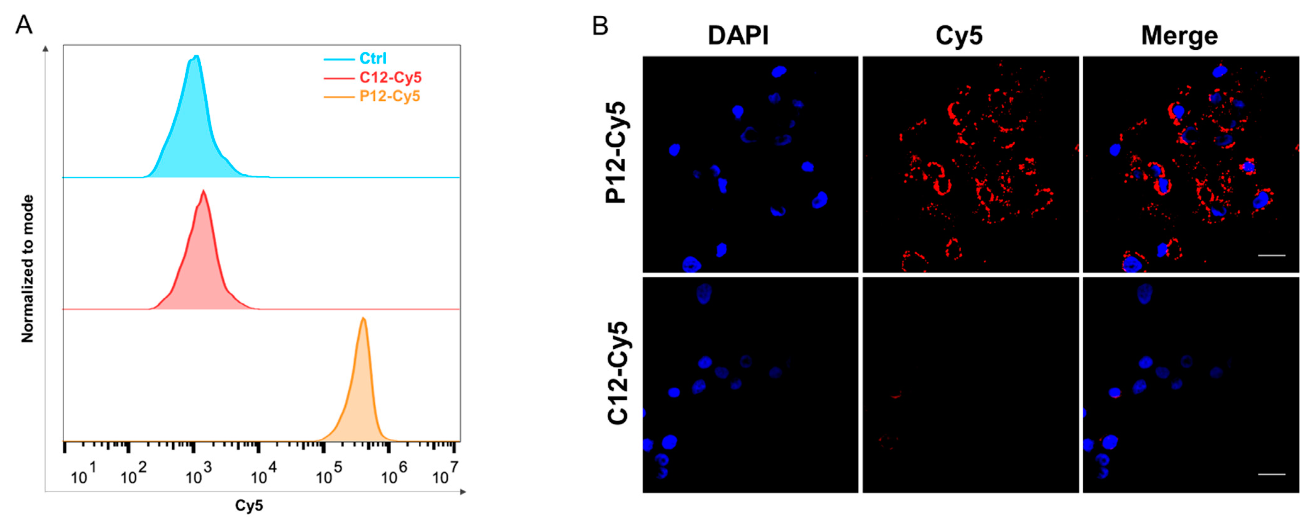 Molecules 27 07609 g004 Molecules 27 07609 g004