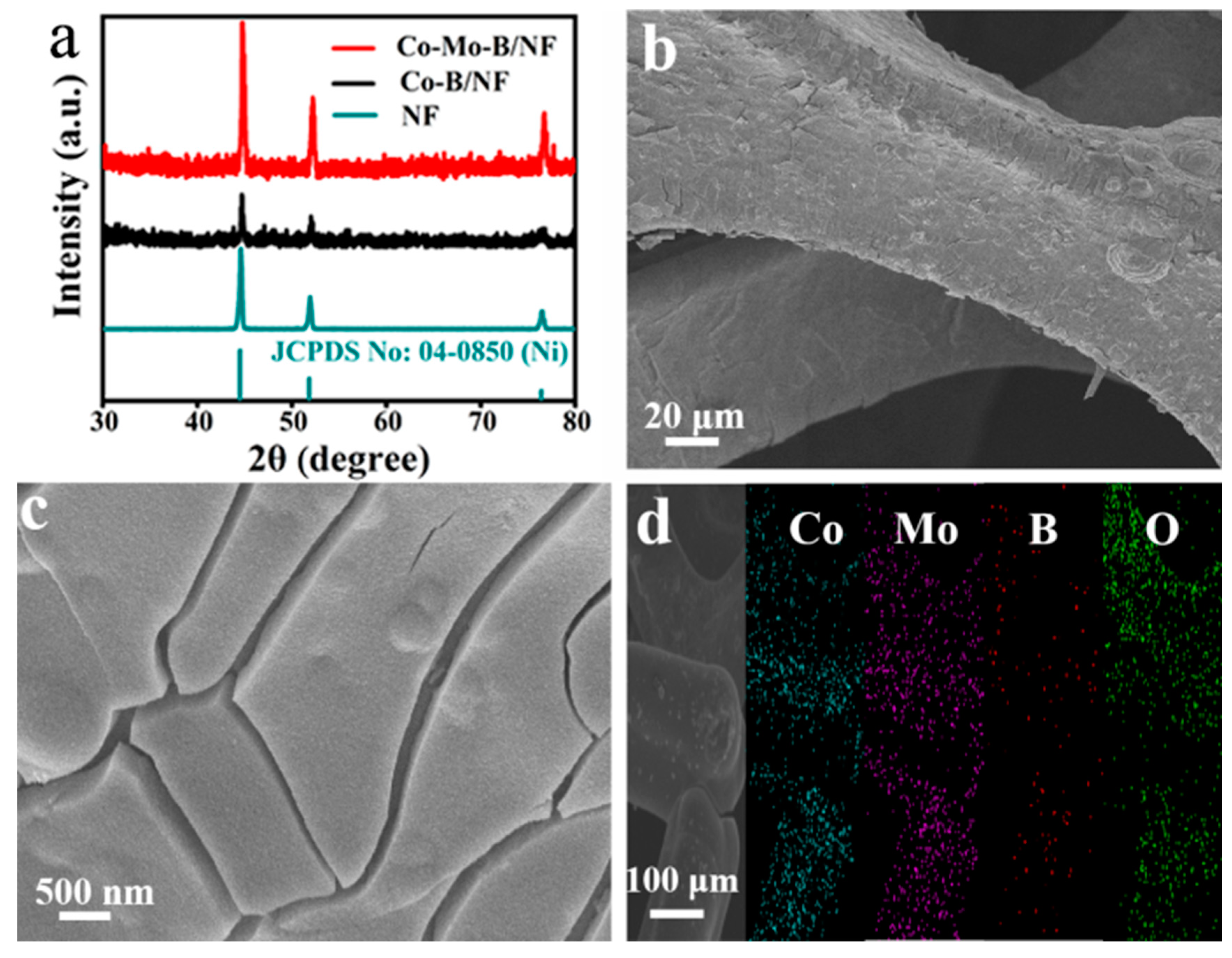 Molecules 27 07617 g001