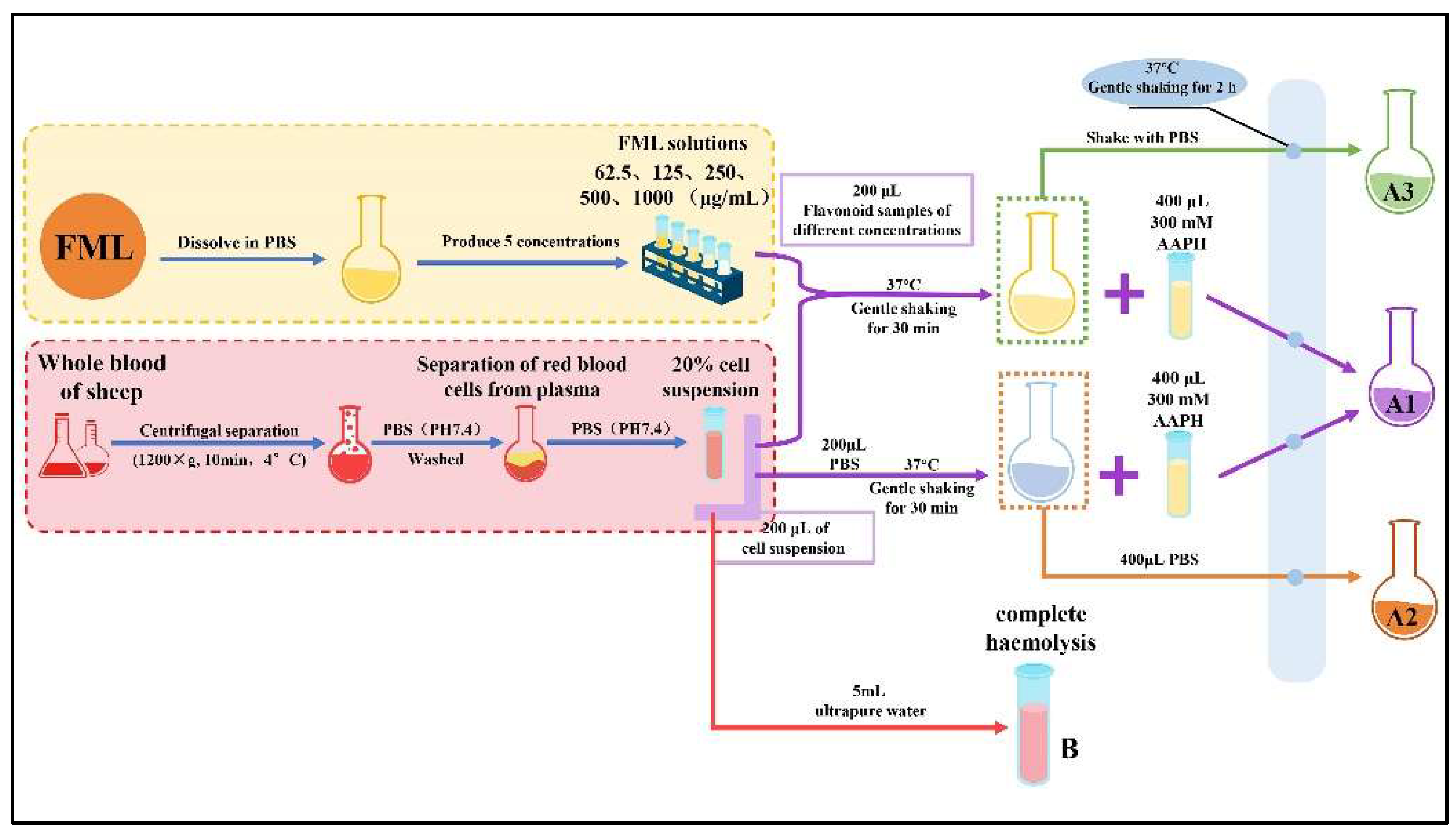 Molecules 27 07625 g002 Molecules 27 07625 g002