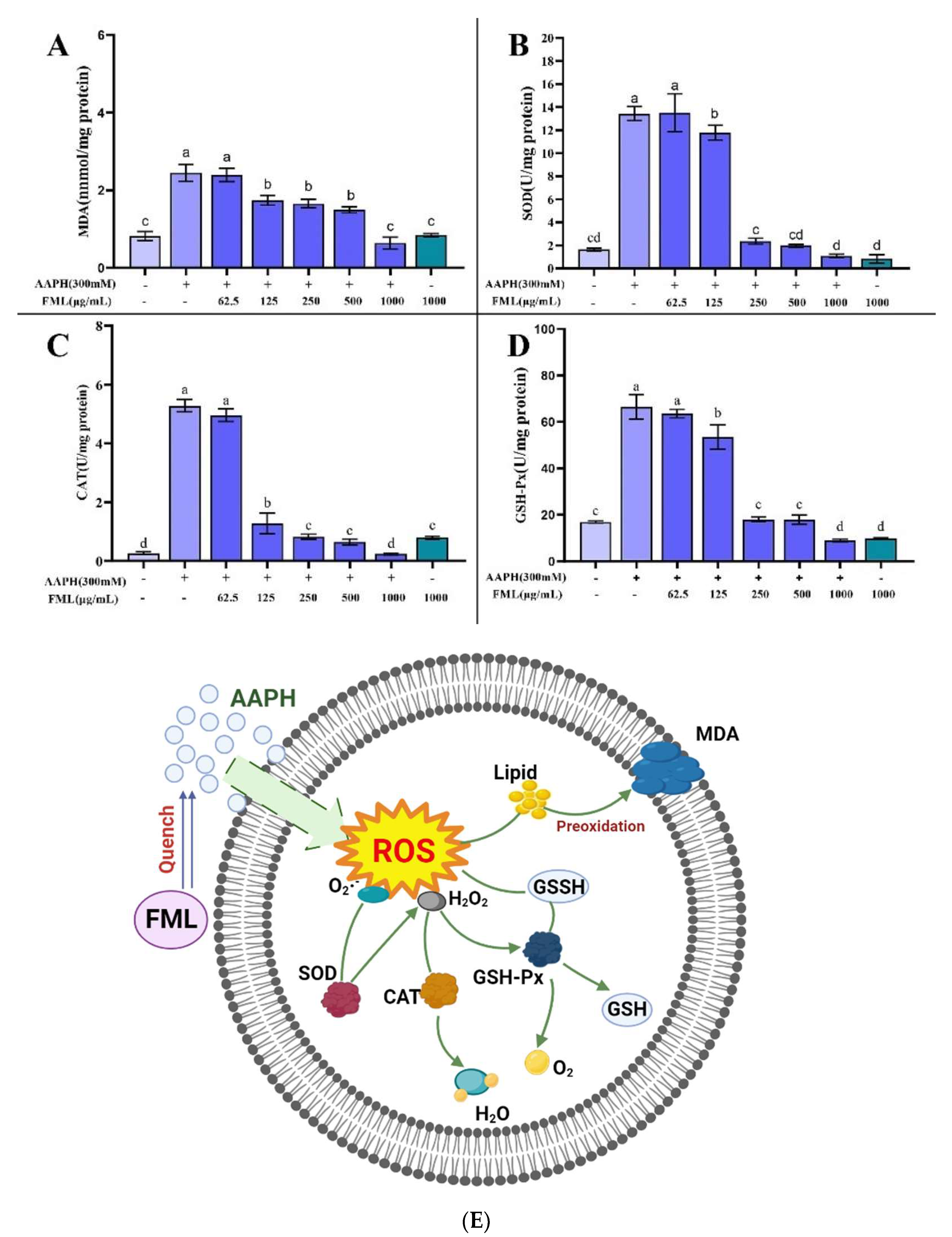 Molecules 27 07625 g009 Molecules 27 07625 g009