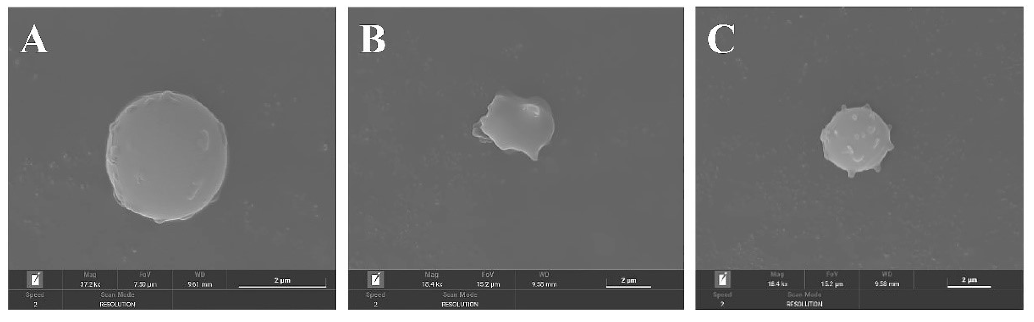 Molecules 27 07625 g010 Molecules 27 07625 g010