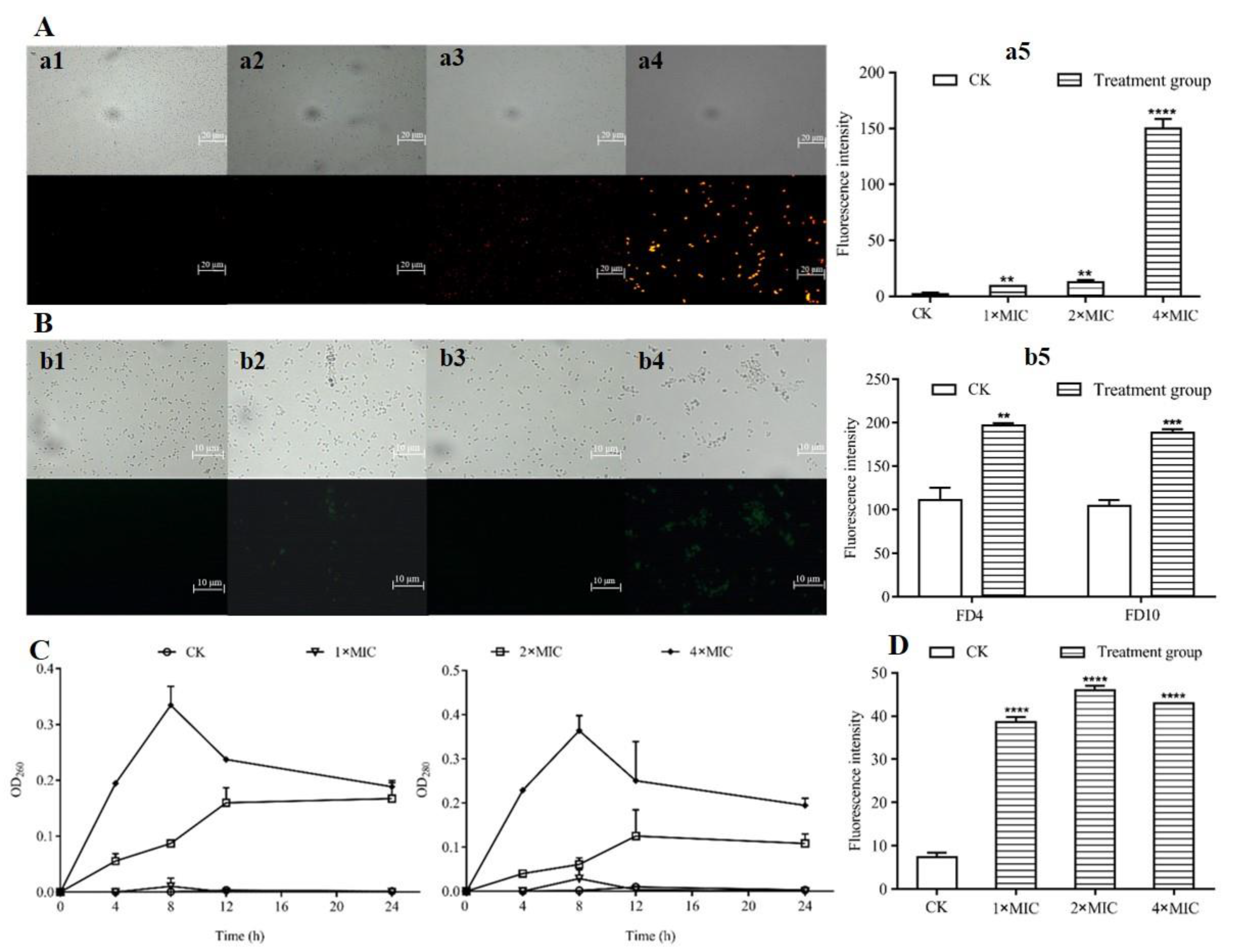 Molecules 27 07627 g005 Molecules 27 07627 g005