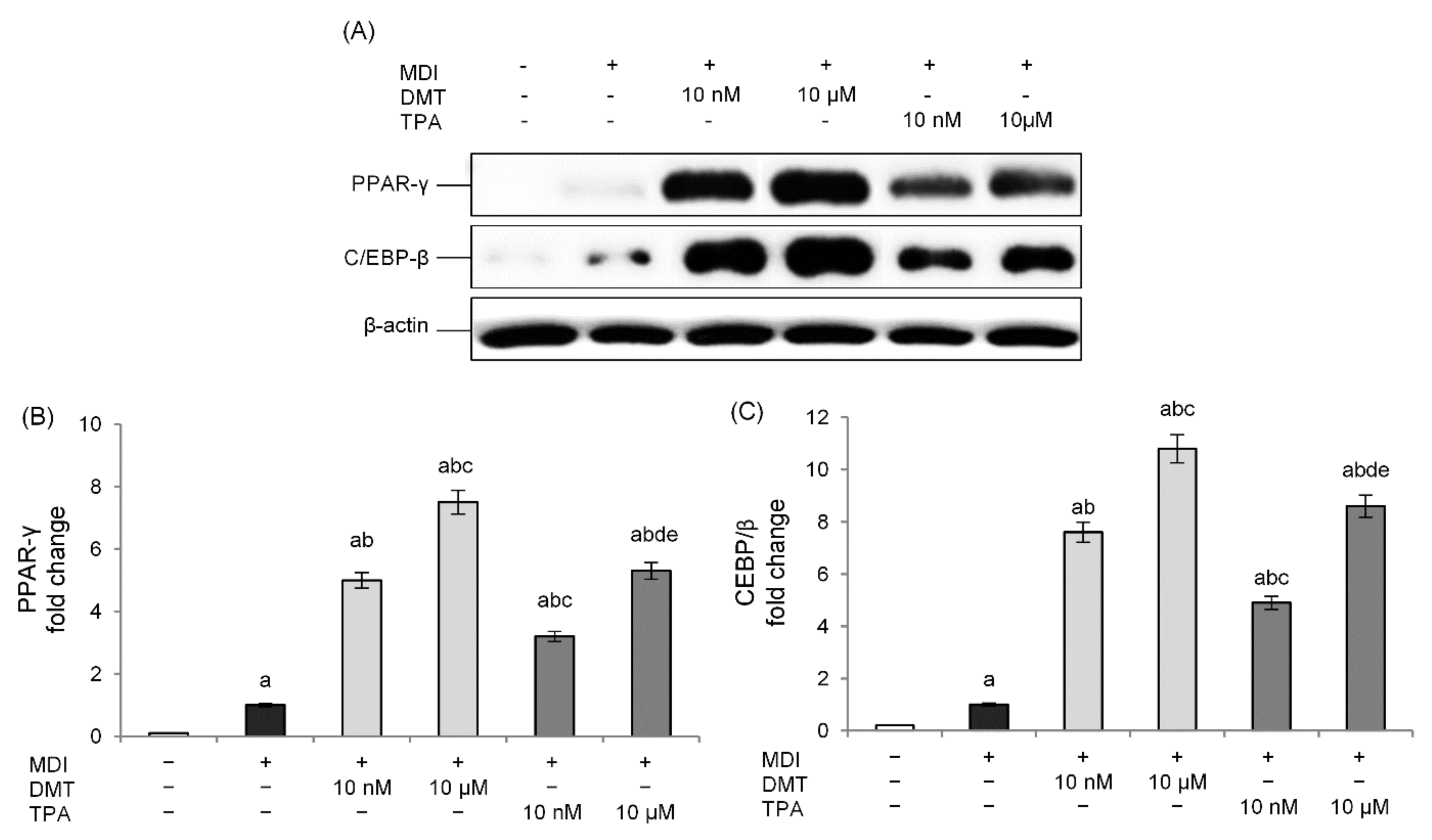 Molecules 27 07645 g003 Molecules 27 07645 g003