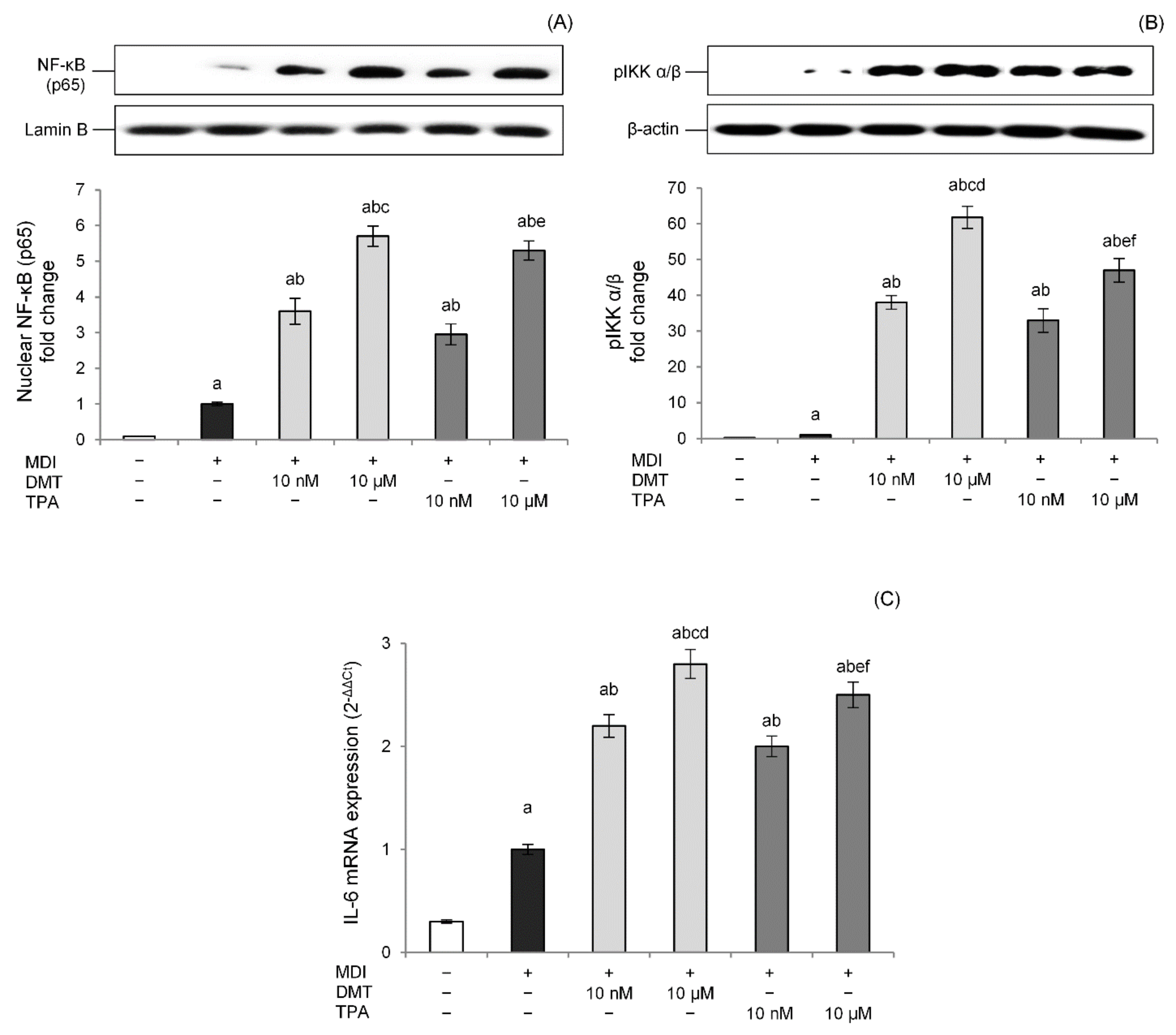 Molecules 27 07645 g007 Molecules 27 07645 g007