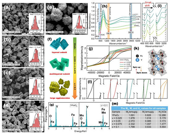 X-ray Absorption Spectroscopy Study of Iron Site Manganese
