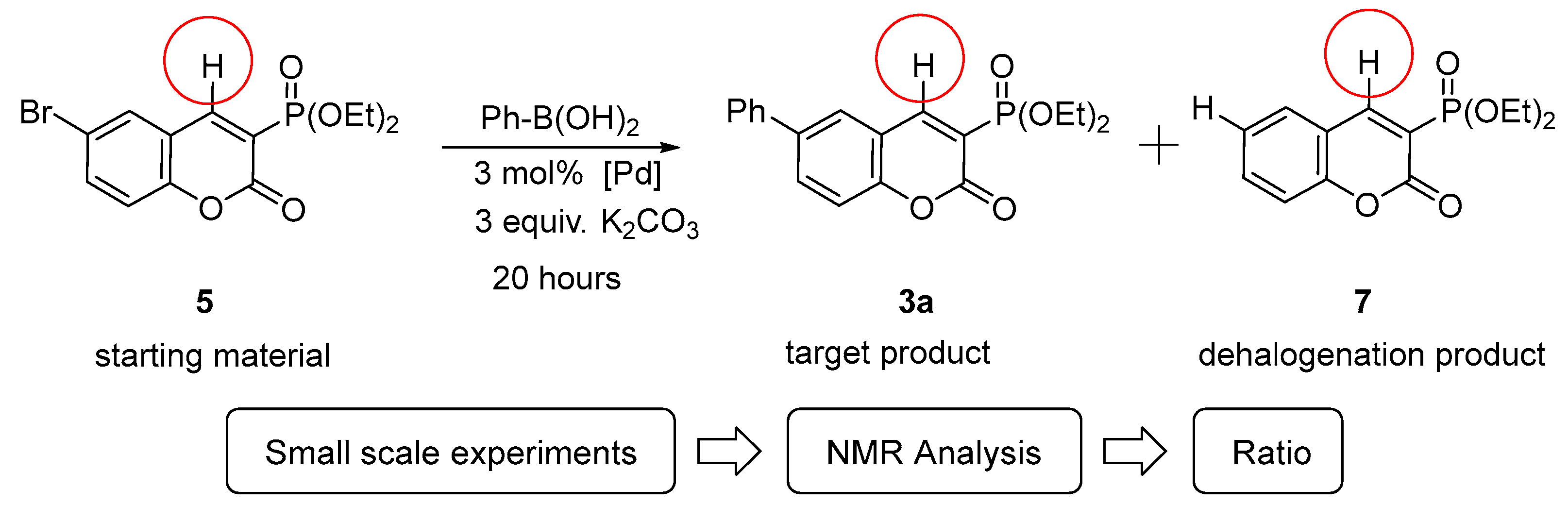 Molecules 27 07649 sch004