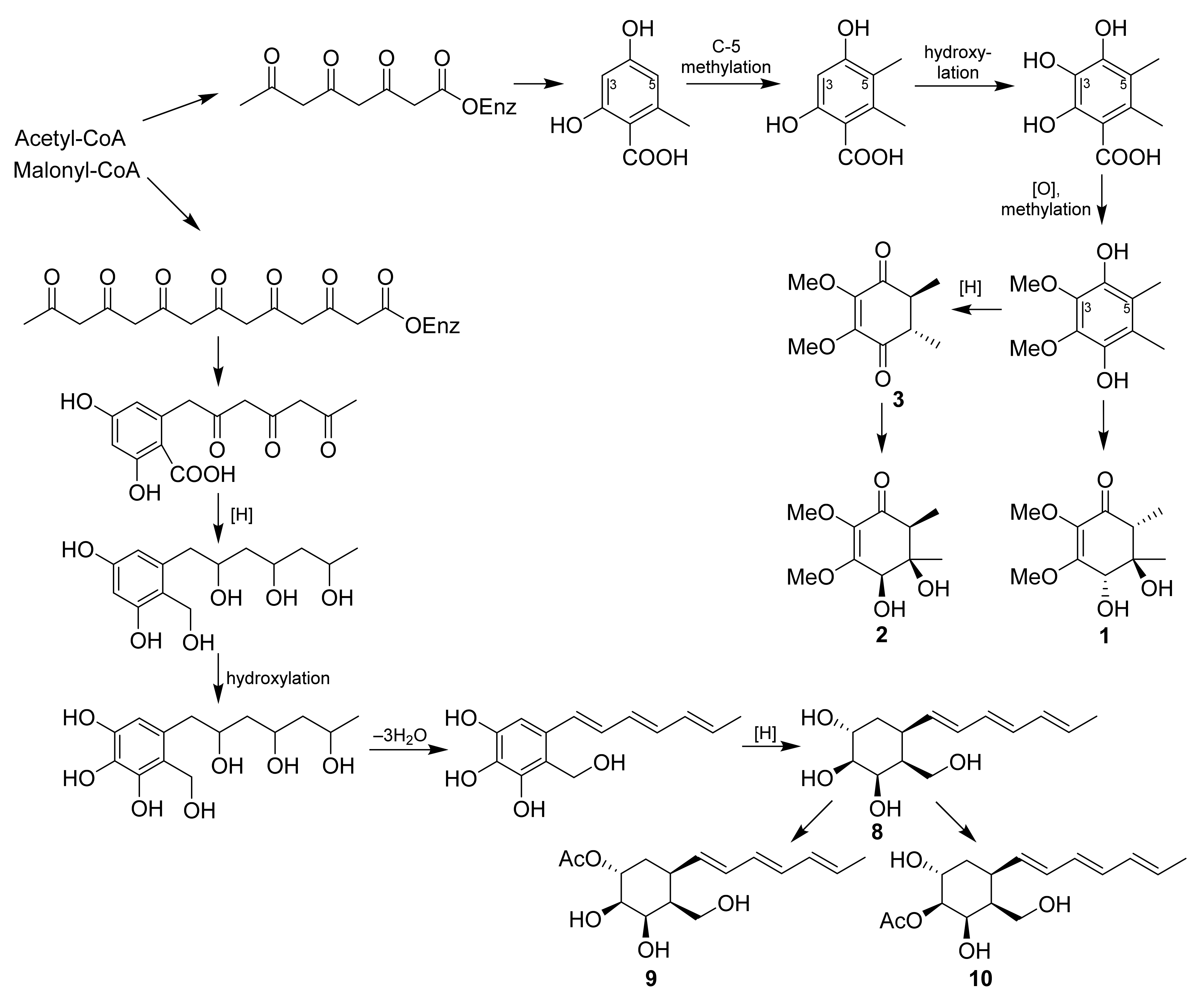 Molecules 27 07650 g007 Molecules 27 07650 g007