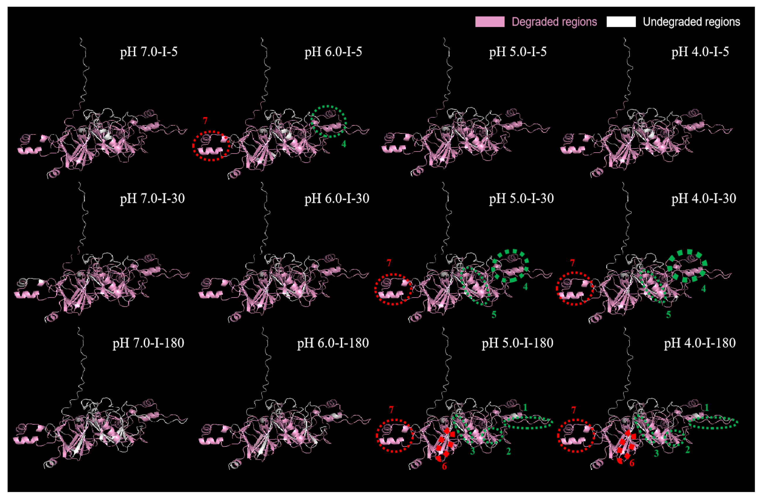 Molecules 27 07652 g008 Molecules 27 07652 g008