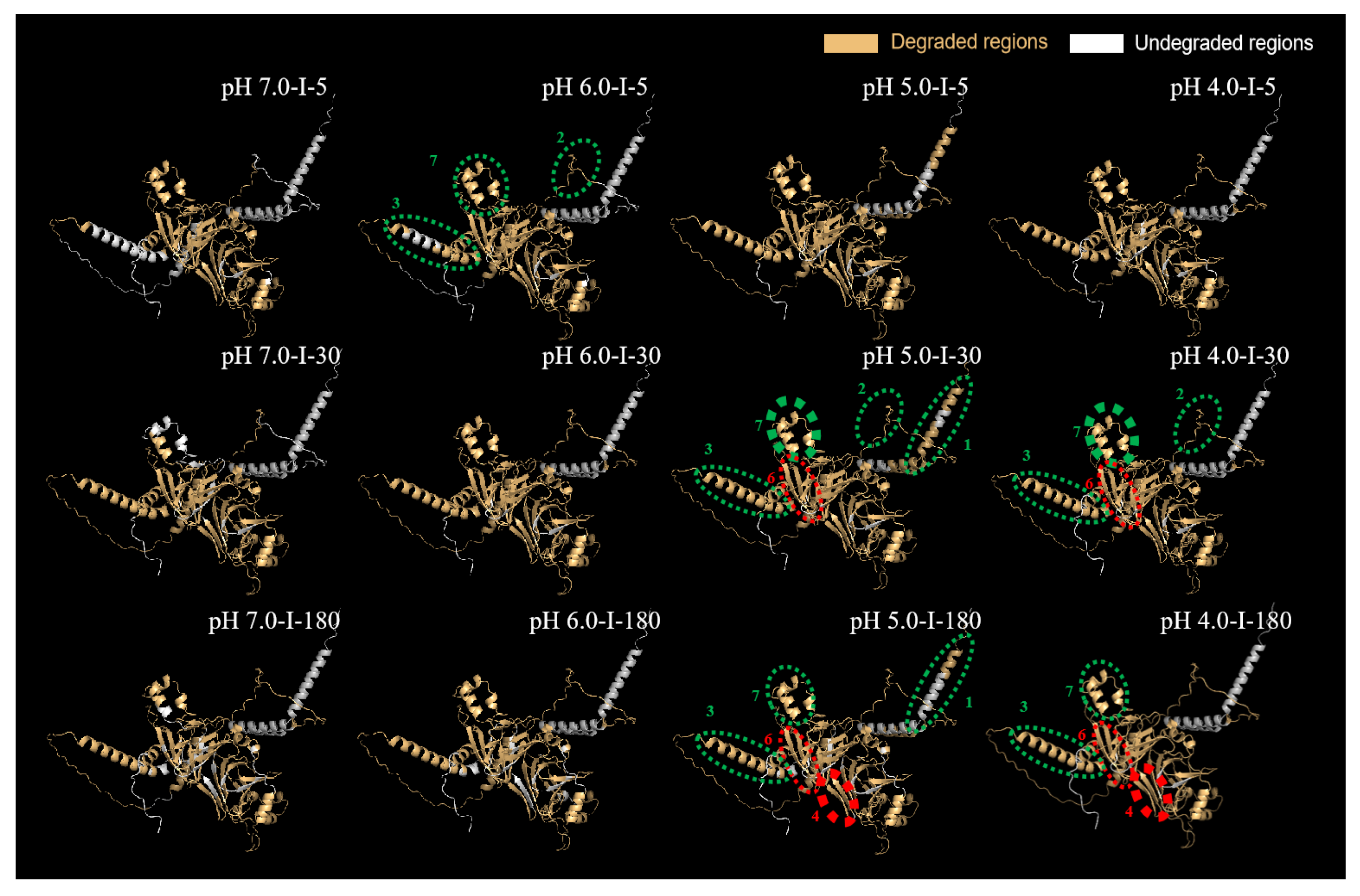 Molecules 27 07652 g009 Molecules 27 07652 g009
