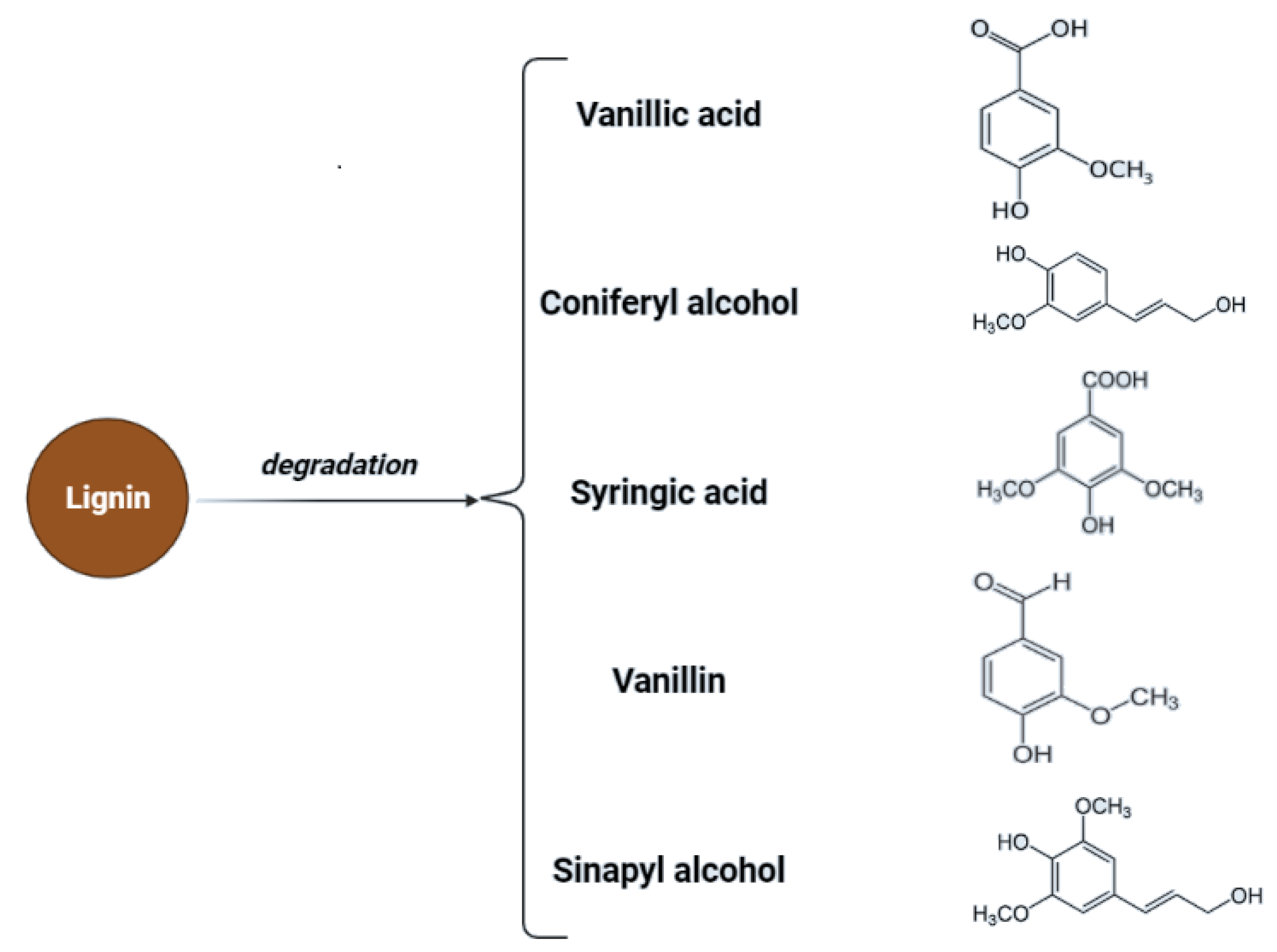 Molecules 27 07658 g002 Molecules 27 07658 g002