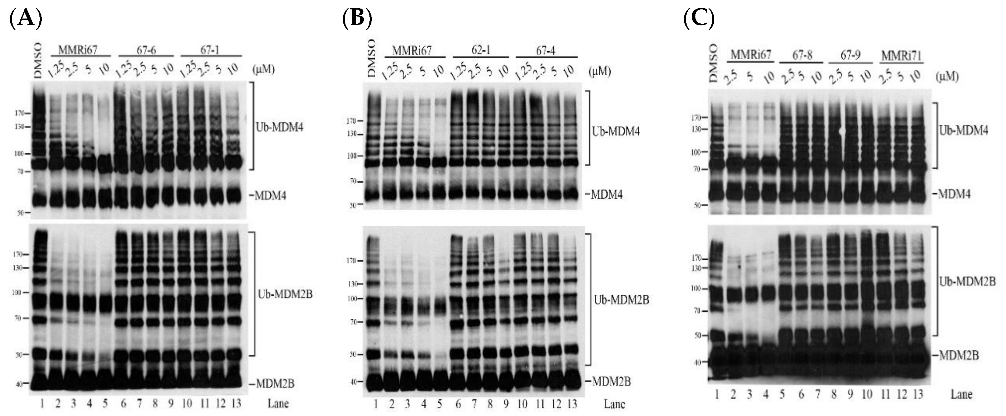 Molecules 27 07665 g003 Molecules 27 07665 g003