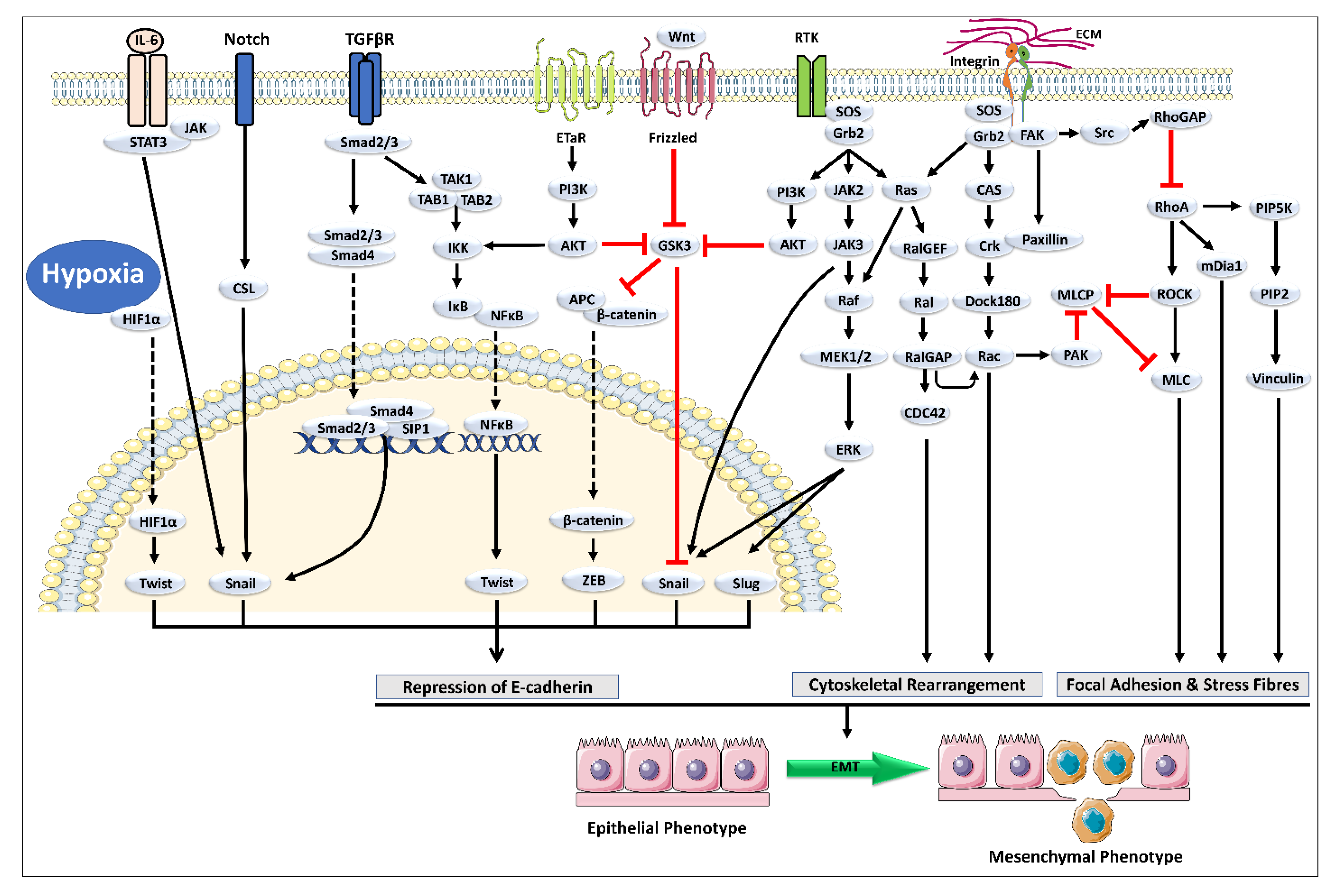 Molecules 27 07668 g002 Molecules 27 07668 g002