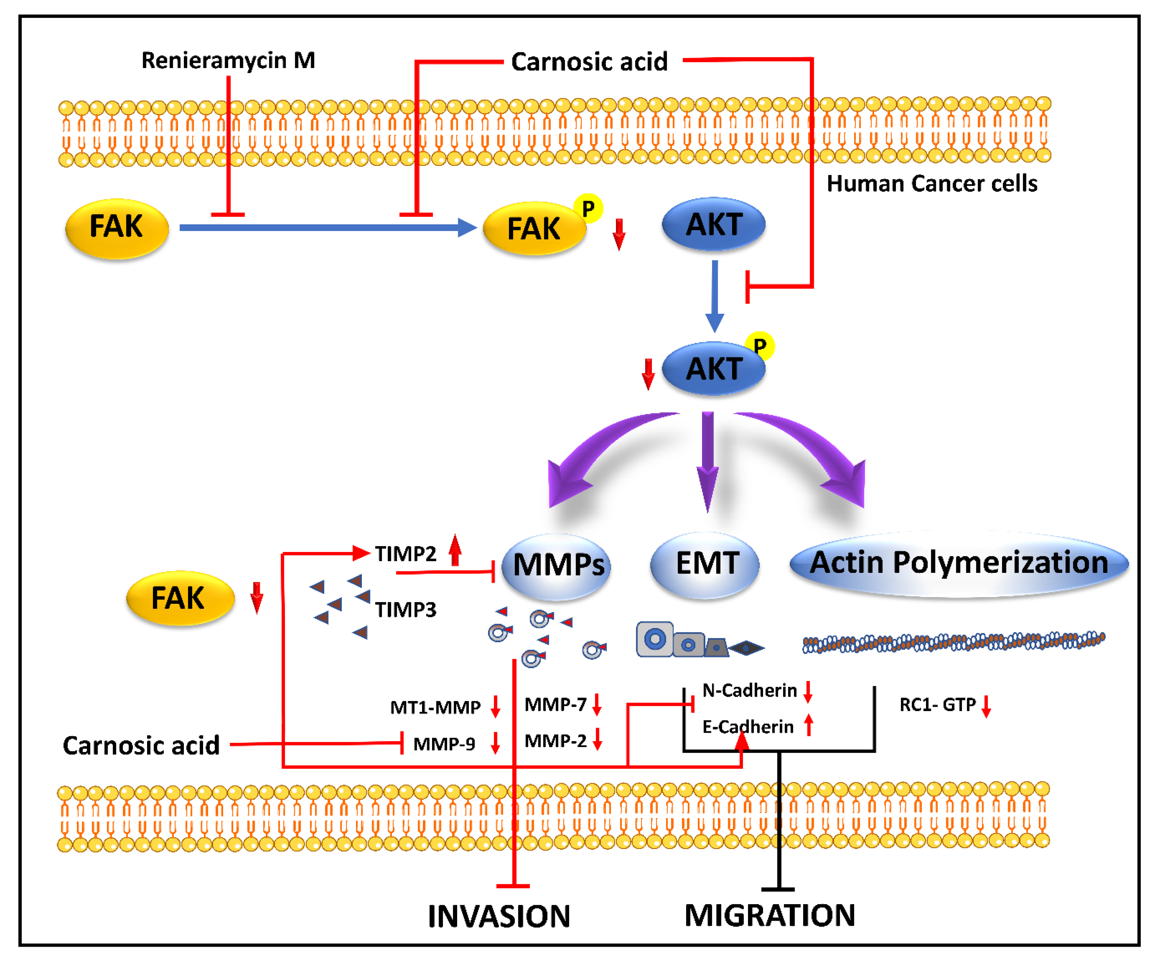 Molecules 27 07668 g003 Molecules 27 07668 g003