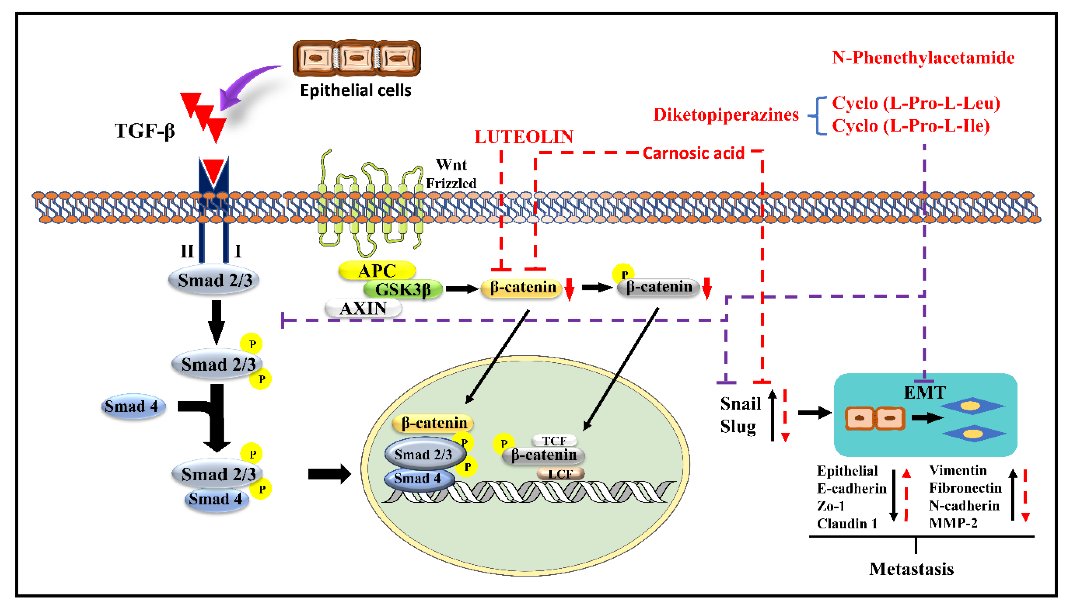 Molecules 27 07668 g004 Molecules 27 07668 g004