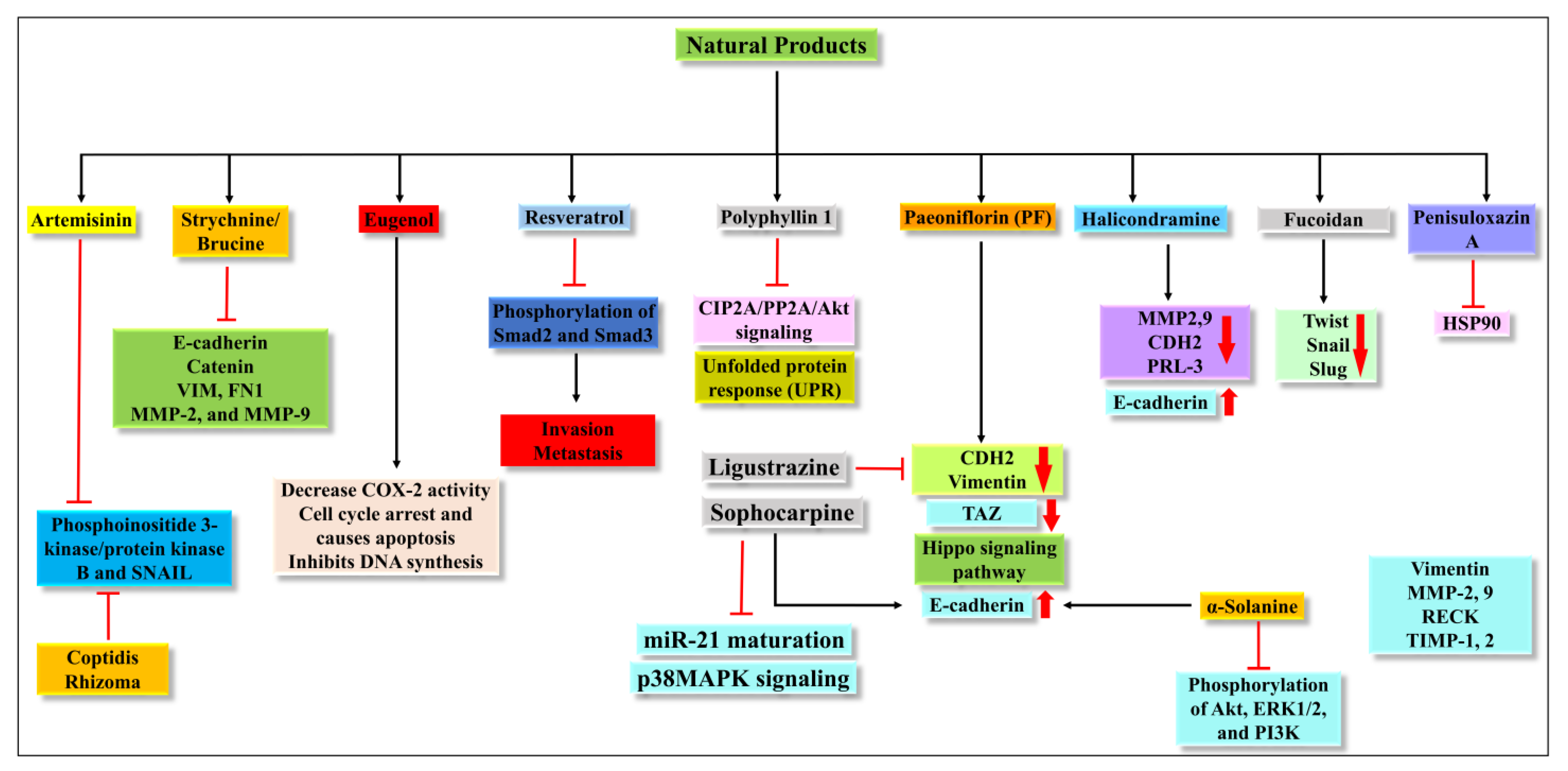 Molecules 27 07668 g005 Molecules 27 07668 g005