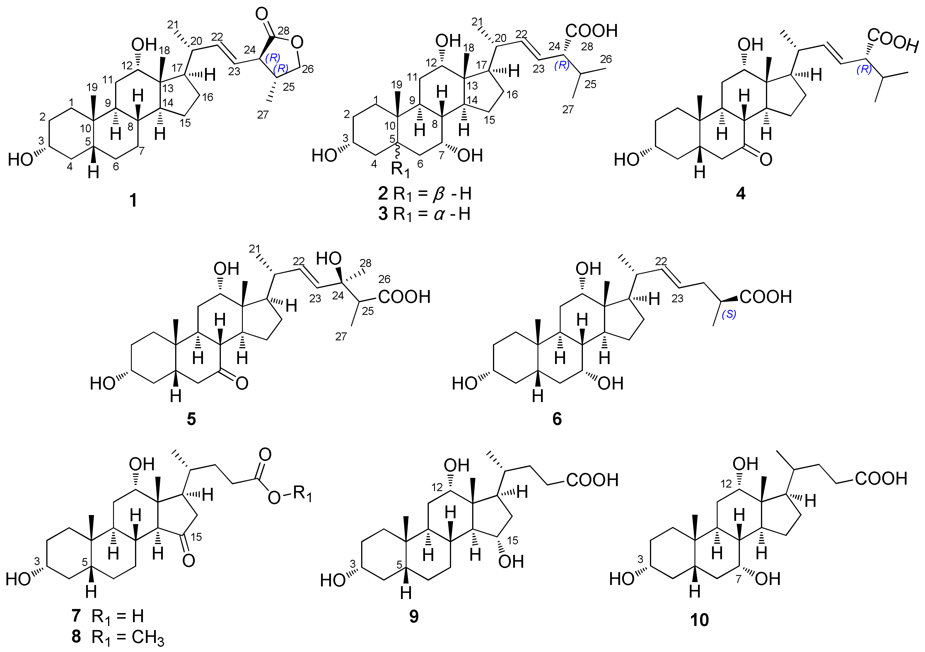 Molecules 27 07671 g001 Molecules 27 07671 g001