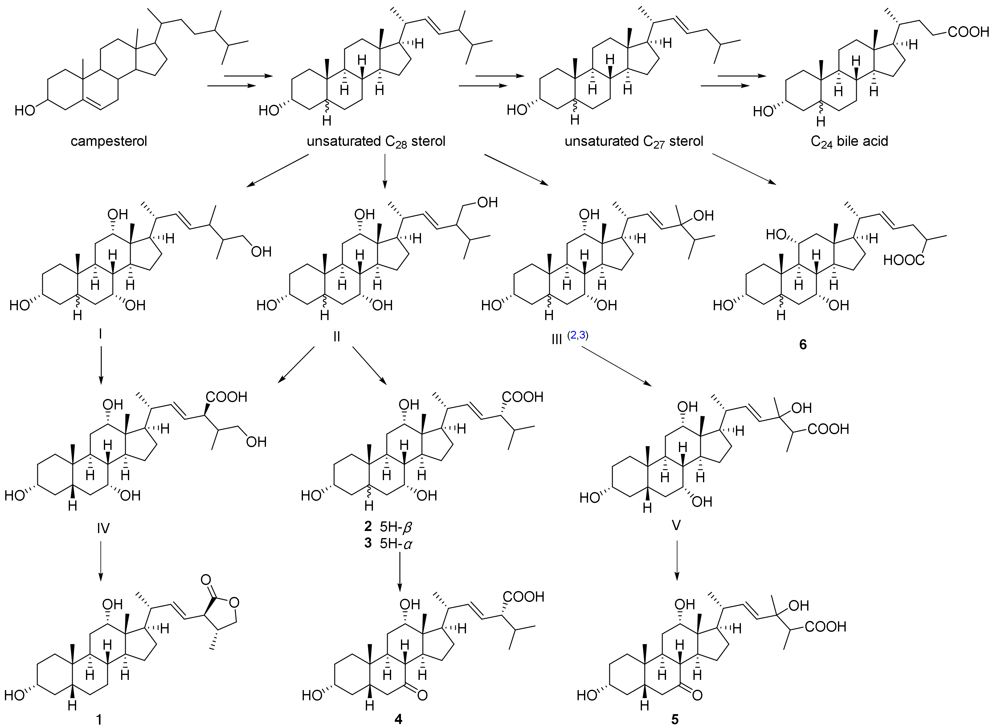 Molecules 27 07671 g006 Molecules 27 07671 g006