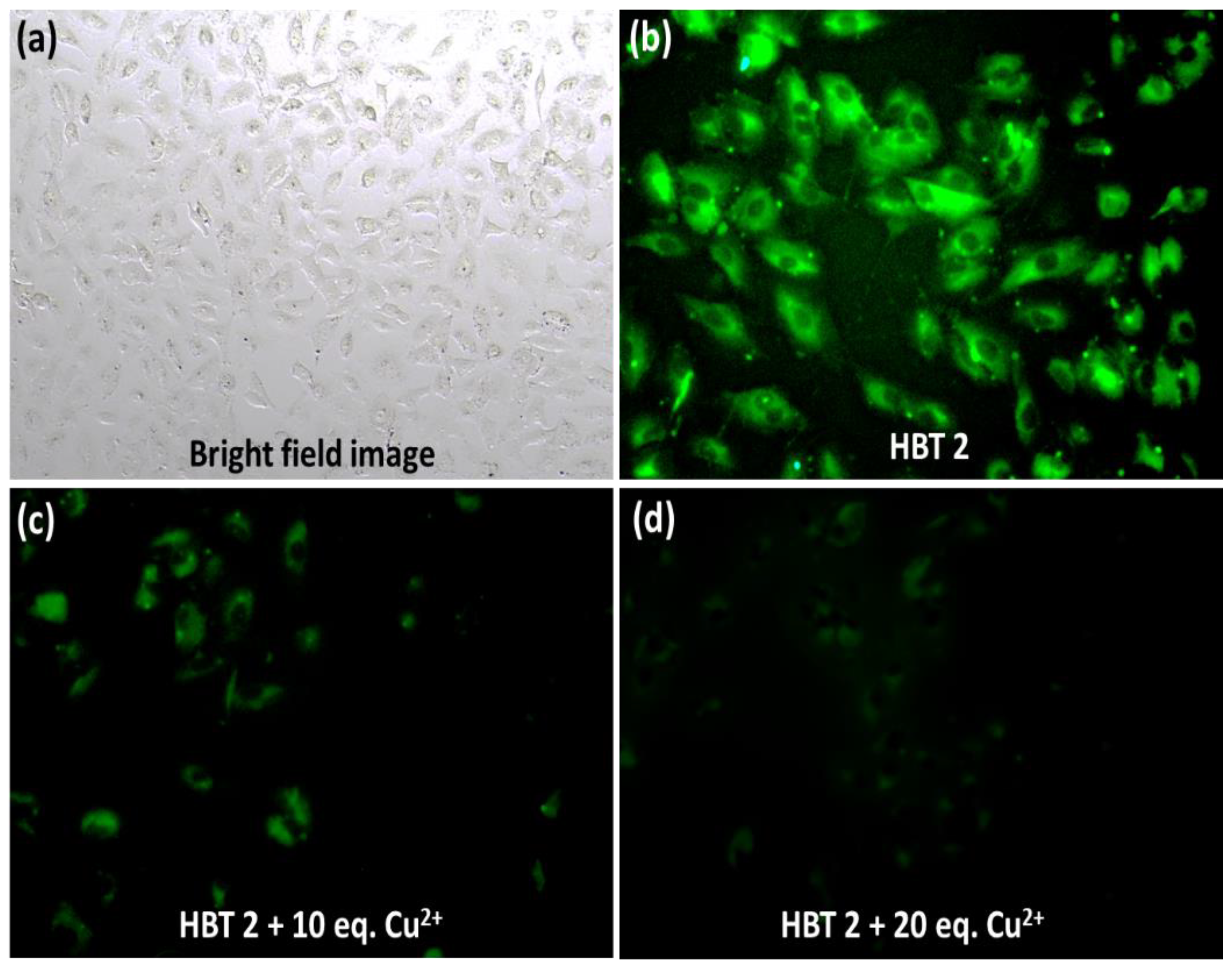 Molecules 27 07678 g009