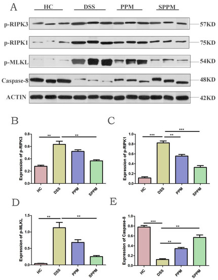 BE:FIRST/\"\"FIRST\"\"One Man Show-We All G… Pine Pollen Polysaccharides' and Sulfated Polysaccharides