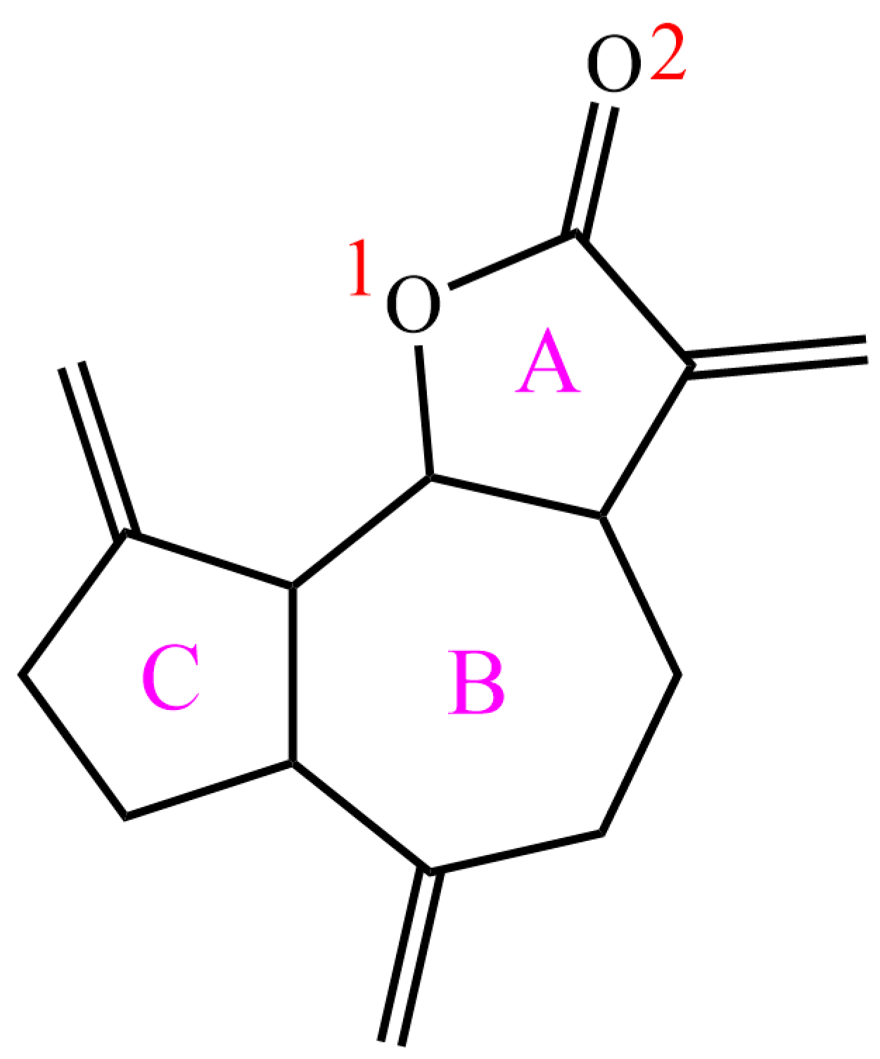 Molecules 27 07688 g001