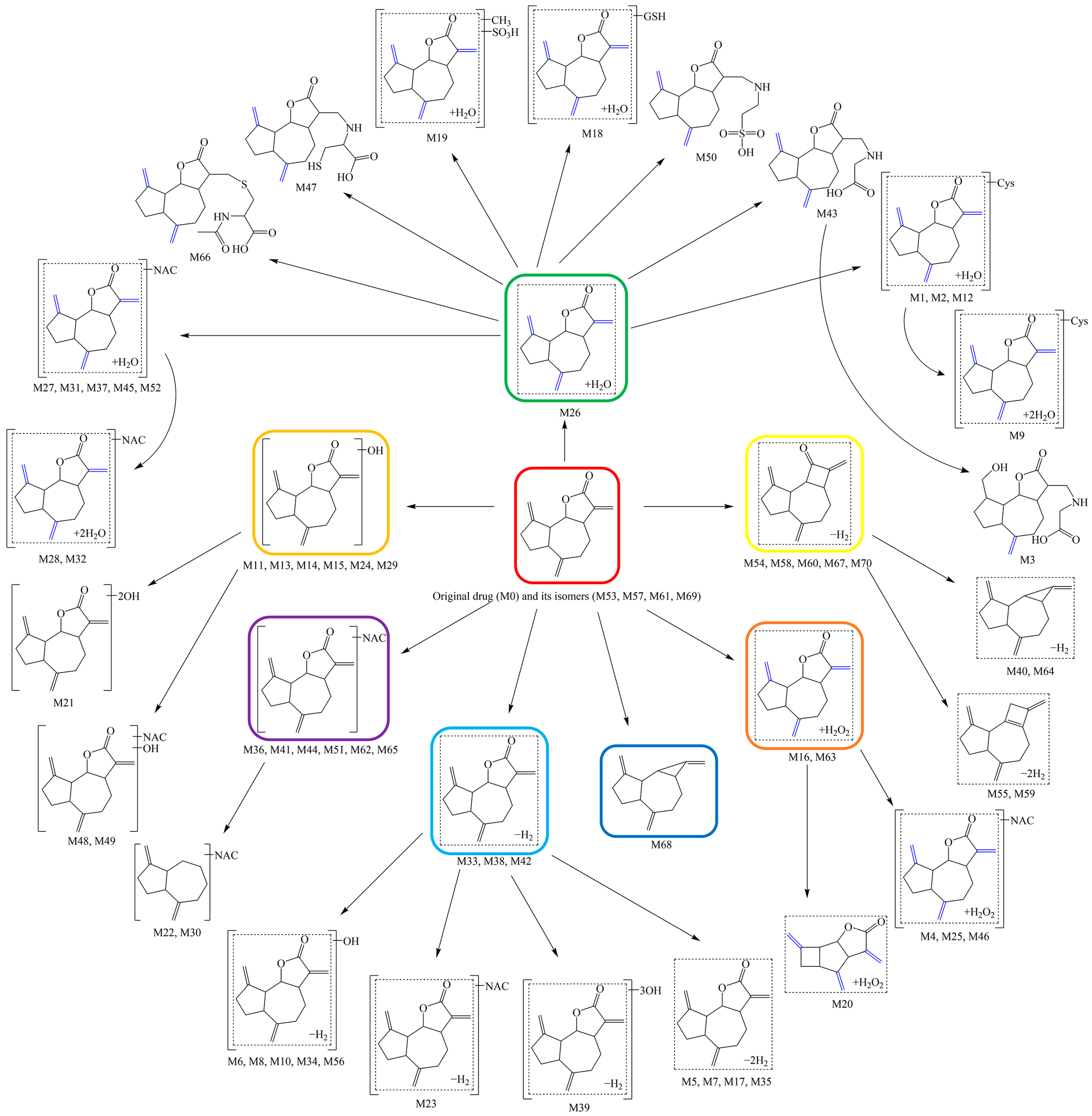 Molecules 27 07688 g007
