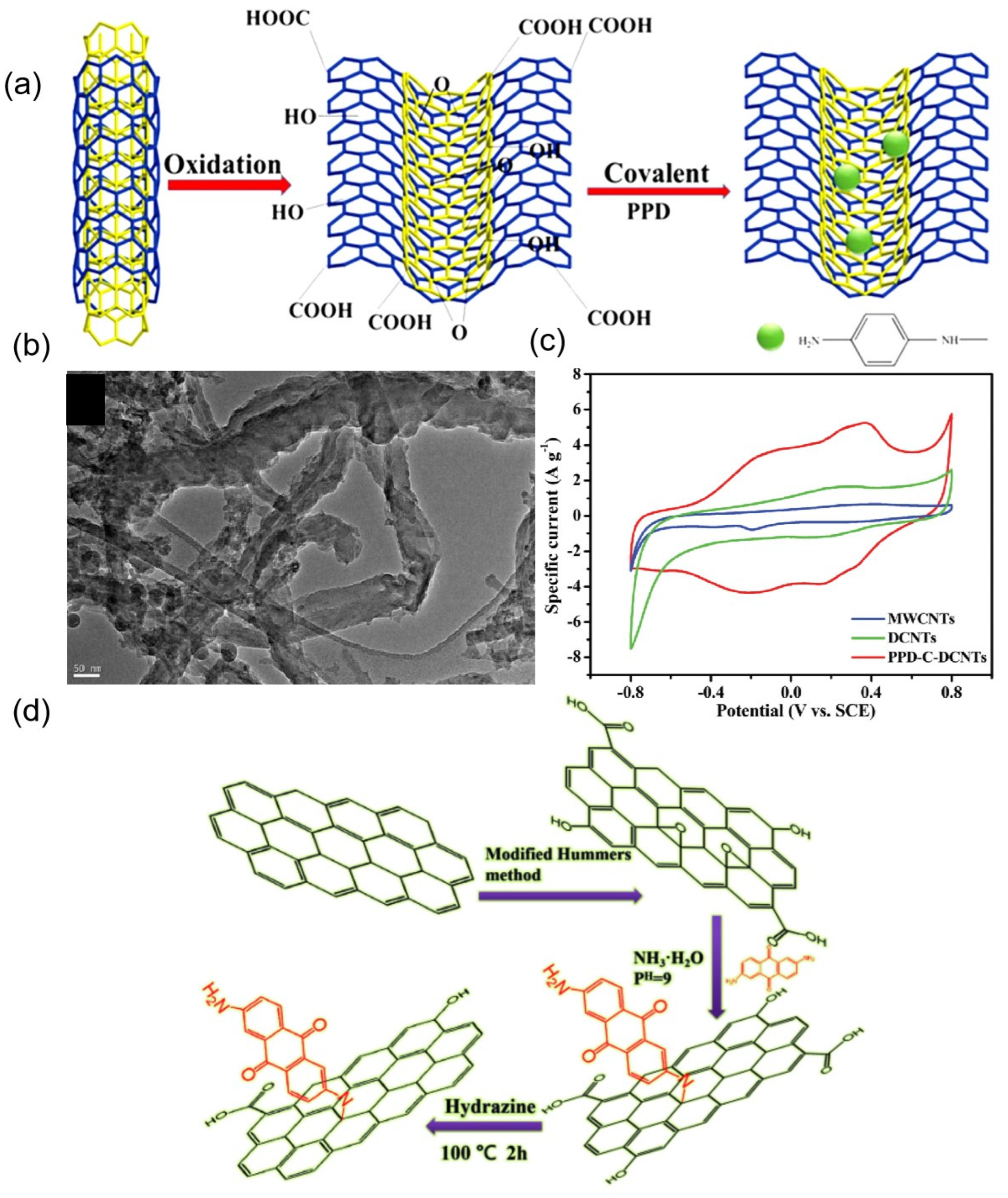 Molecules 27 07692 g007 Molecules 27 07692 g007