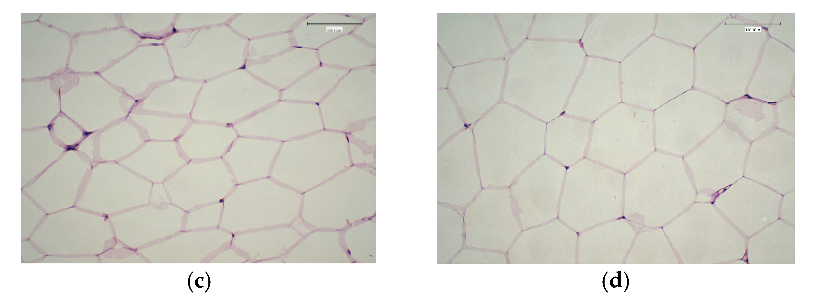 Molecules 27 07695 g003b Molecules 27 07695 g003b