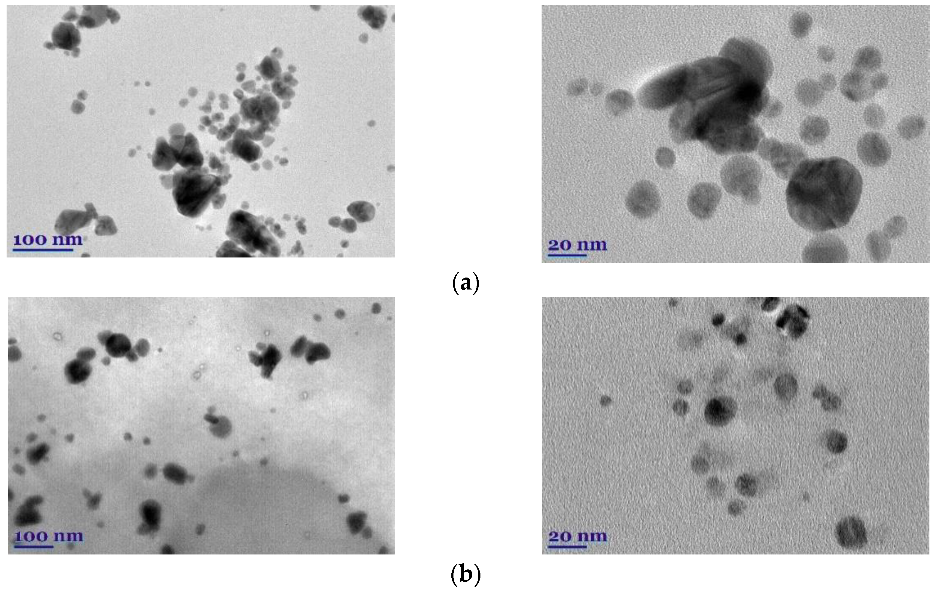 Molecules 27 07700 g006 Molecules 27 07700 g006
