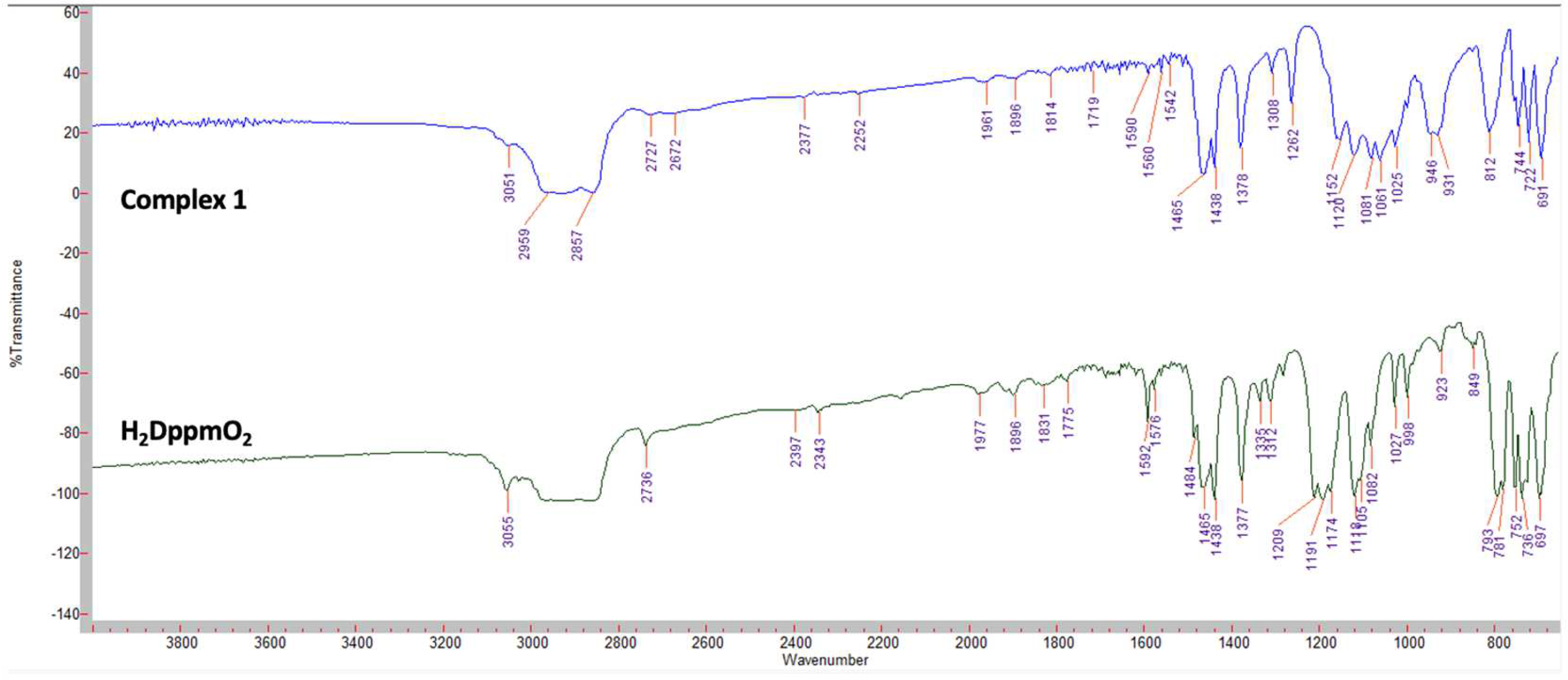 Molecules 27 07704 g001 Molecules 27 07704 g001