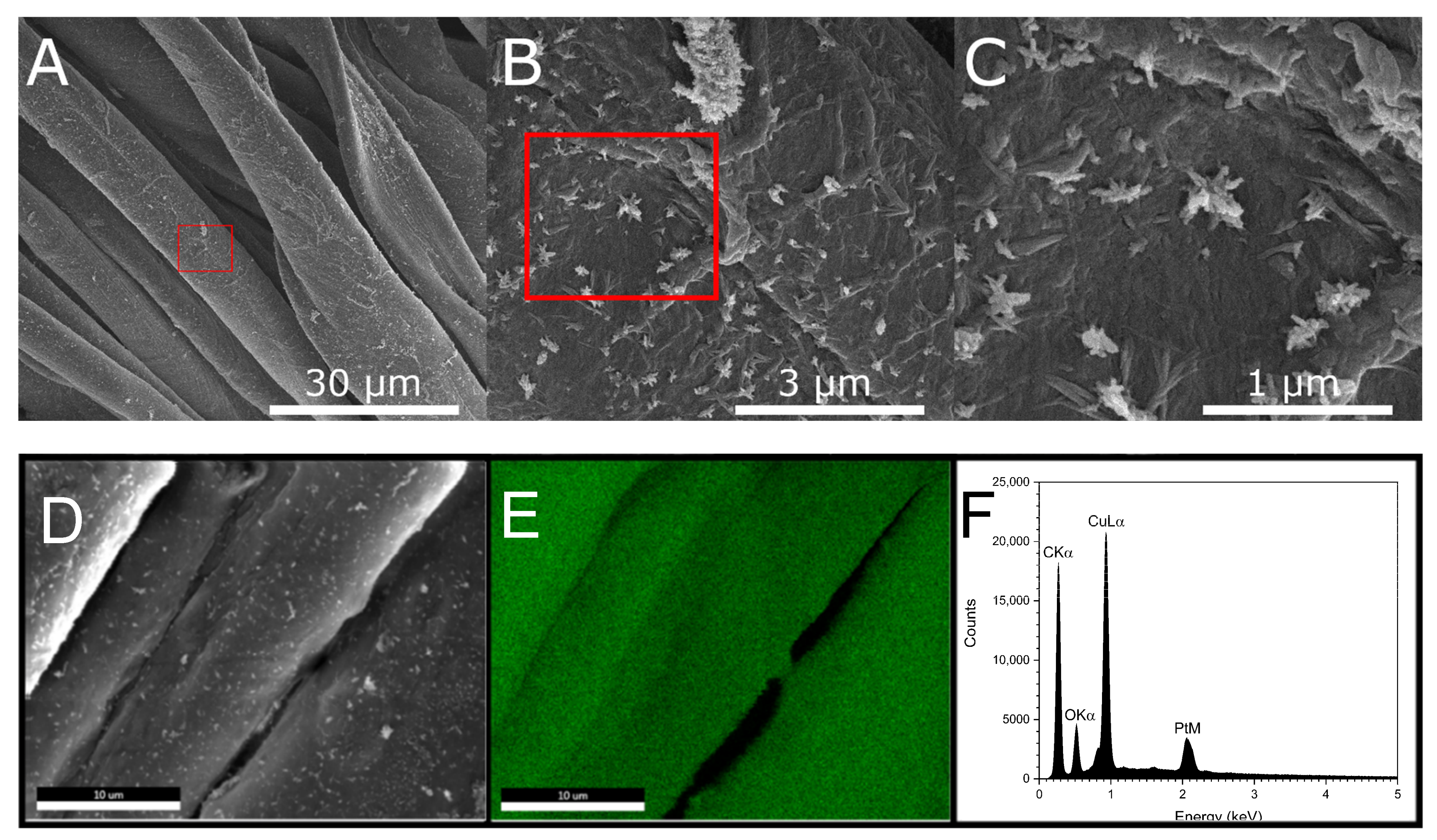 Molecules 27 07706 g003