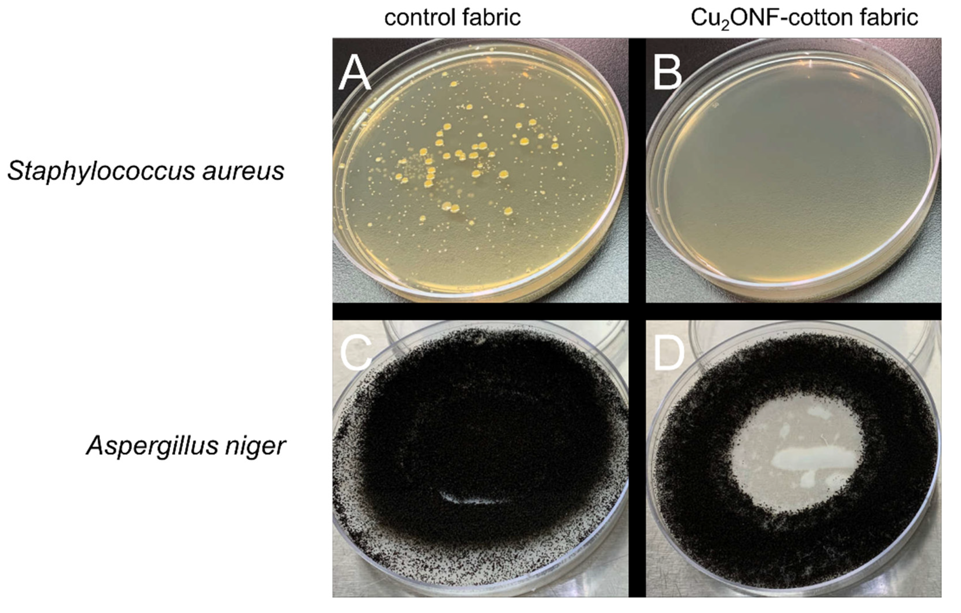 Molecules 27 07706 g009