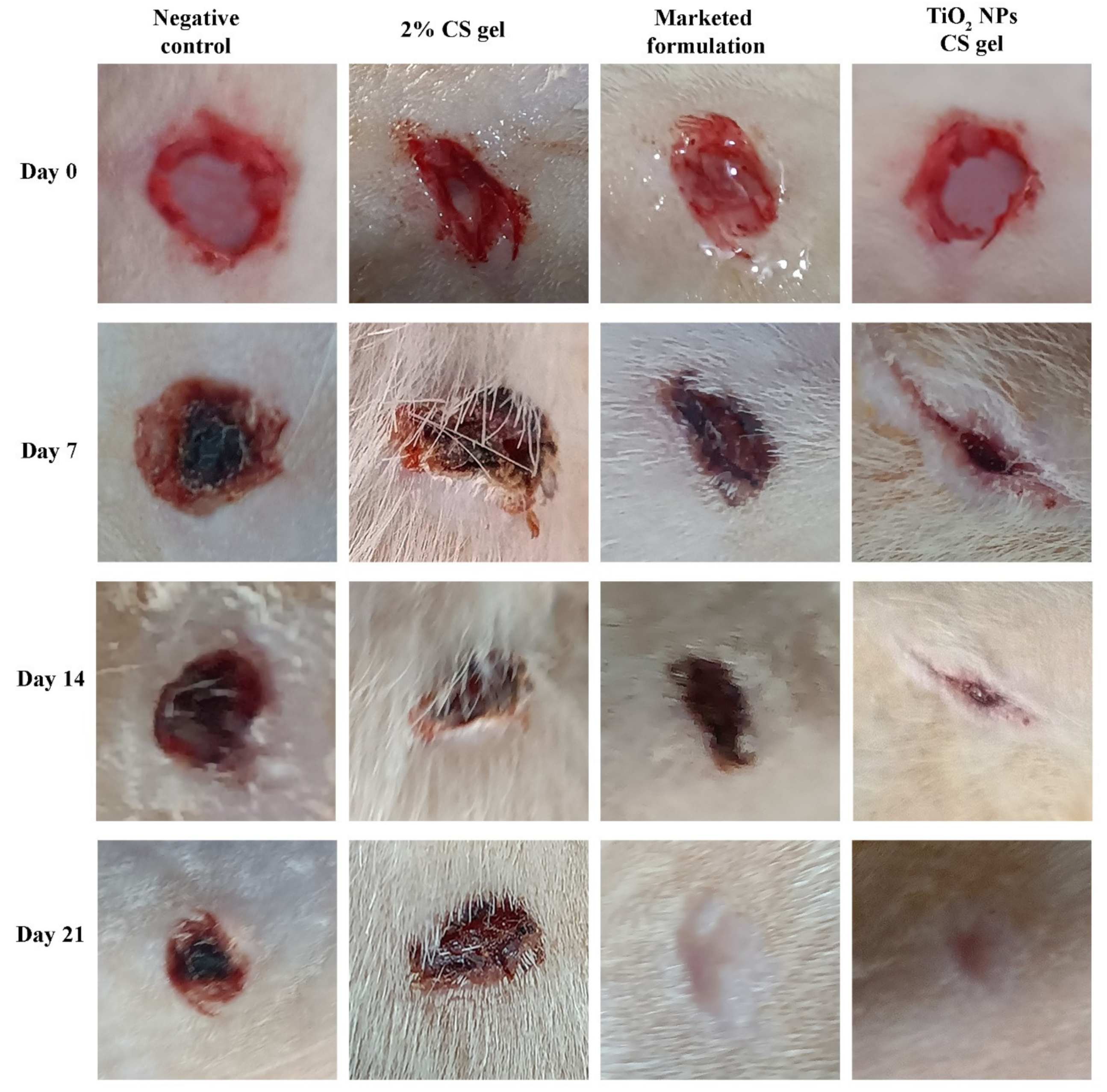 Molecules 27 07712 g007 Molecules 27 07712 g007