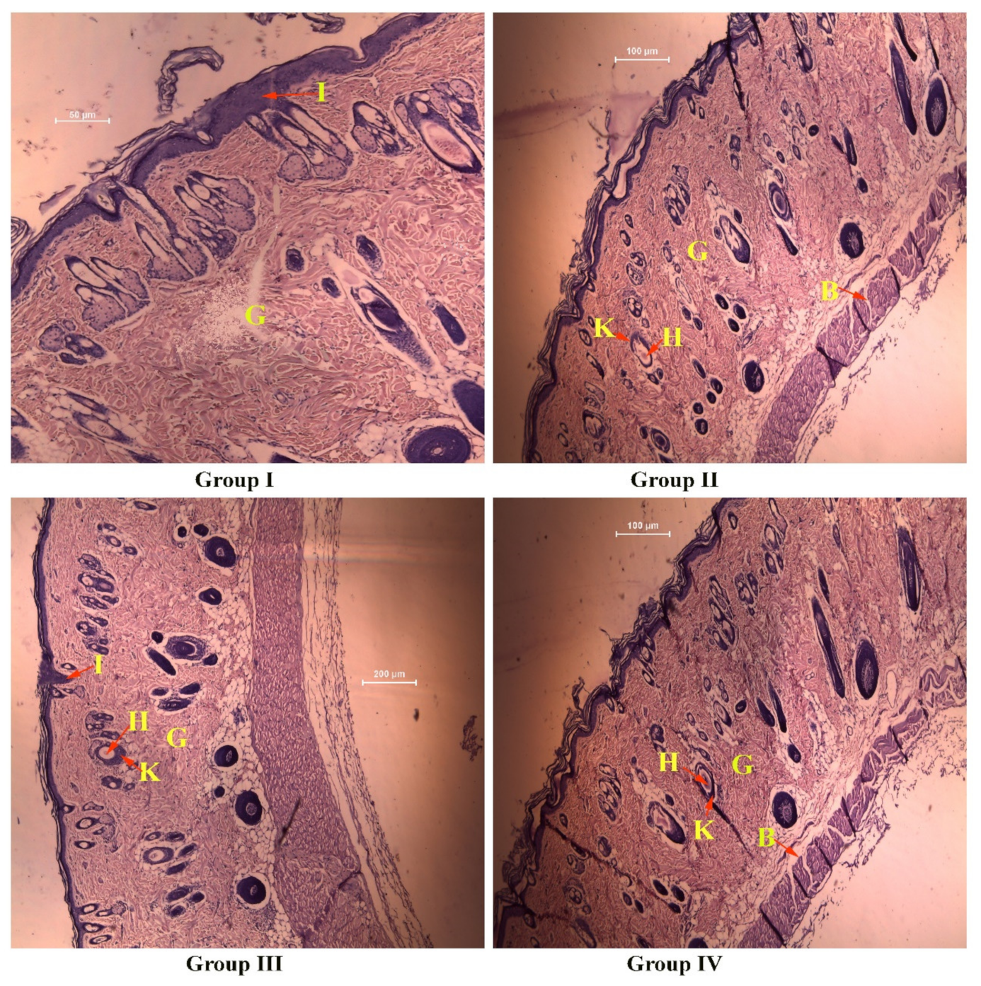 Molecules 27 07712 g009 Molecules 27 07712 g009
