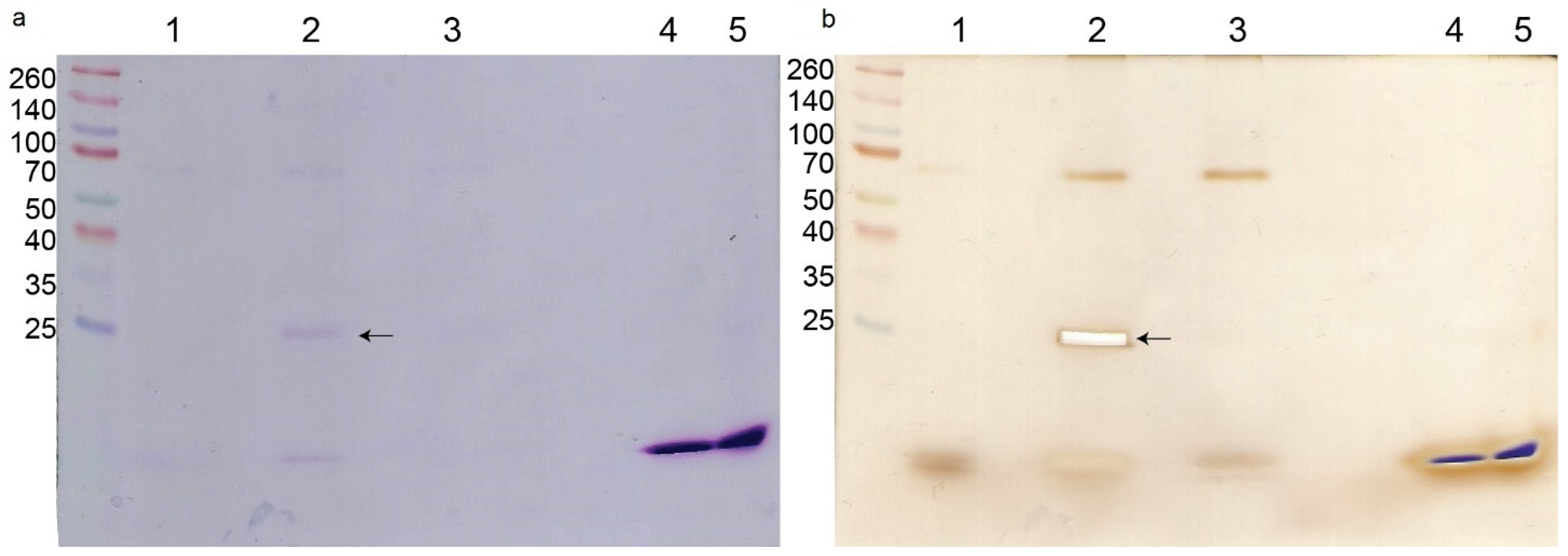 Molecules 27 07726 g003 Molecules 27 07726 g003