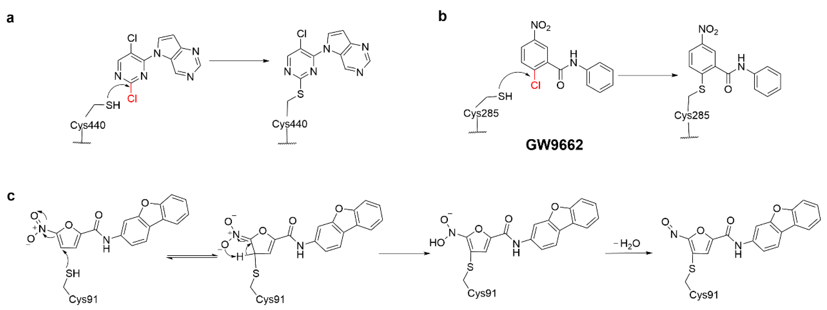 Molecules 27 07728 g003 Molecules 27 07728 g003