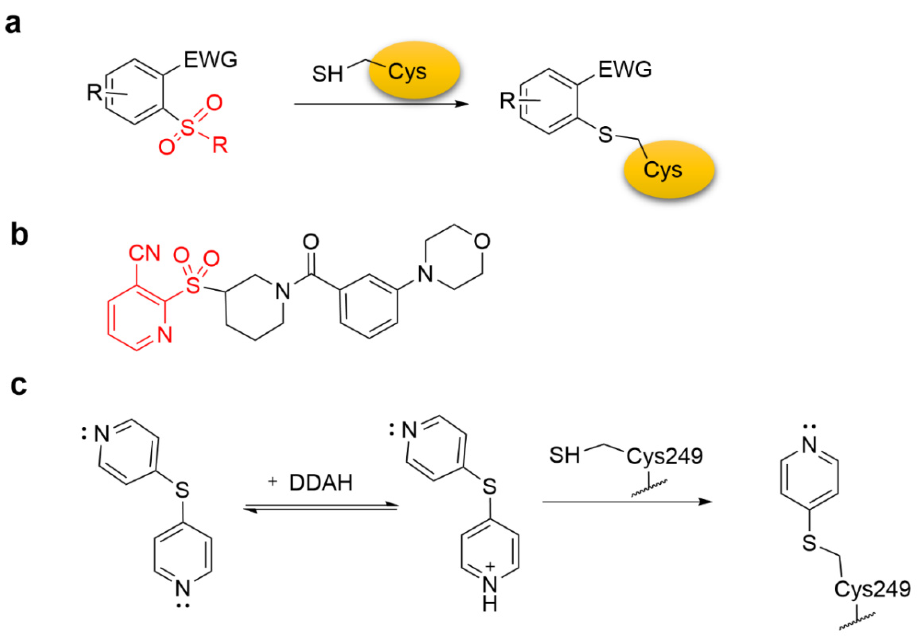 Molecules 27 07728 g004 Molecules 27 07728 g004