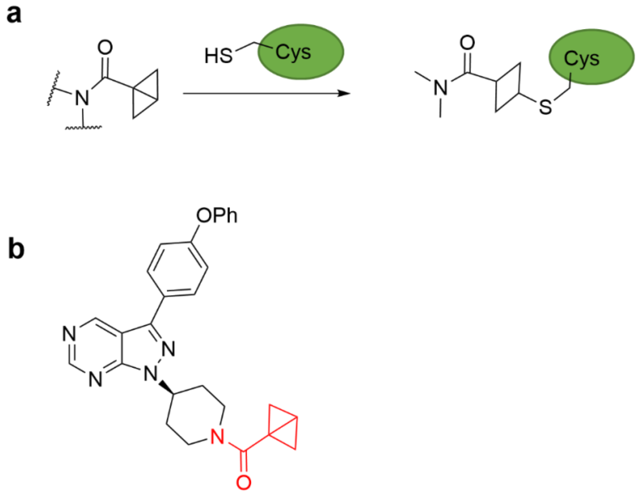 Molecules 27 07728 g008 Molecules 27 07728 g008