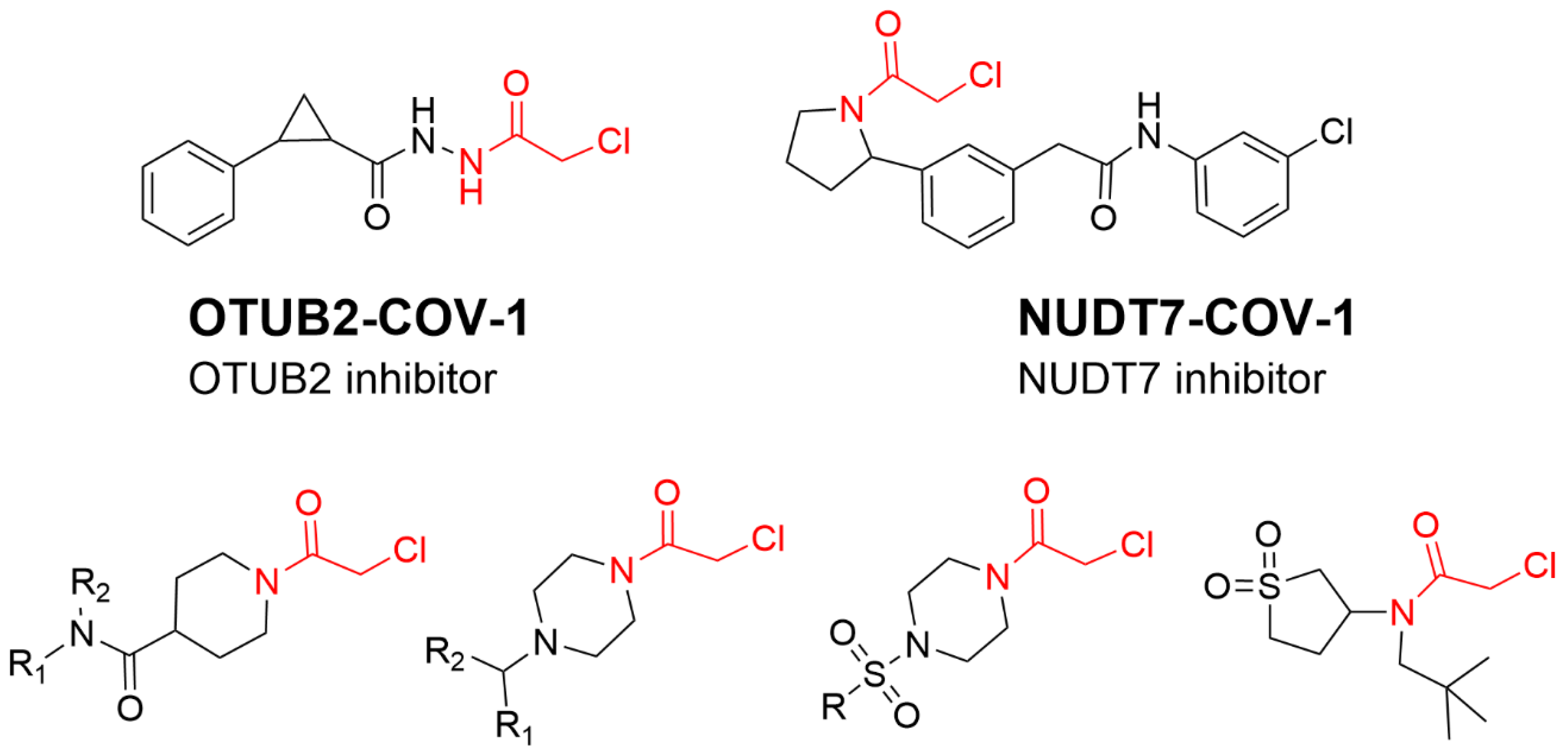 Molecules 27 07728 g009 Molecules 27 07728 g009