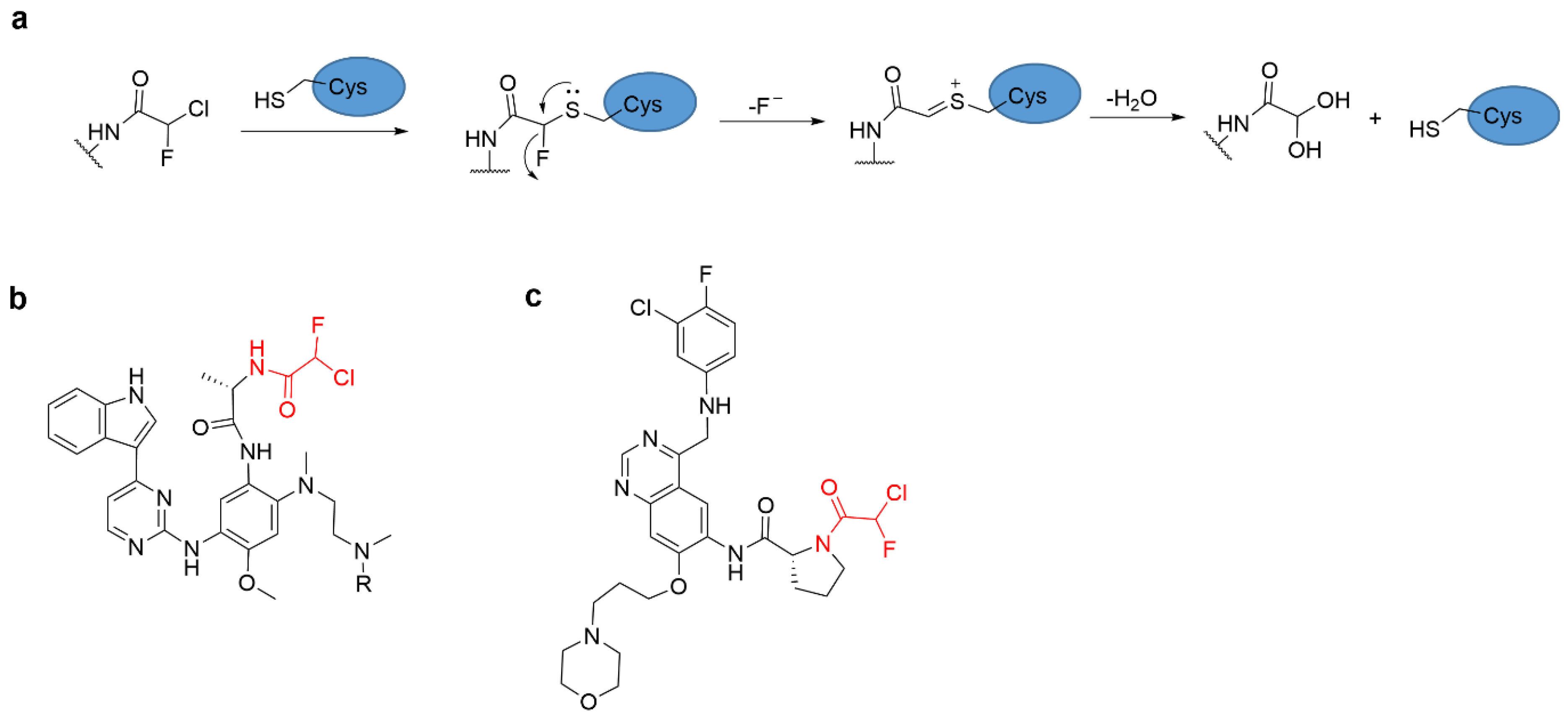 Molecules 27 07728 g010 Molecules 27 07728 g010