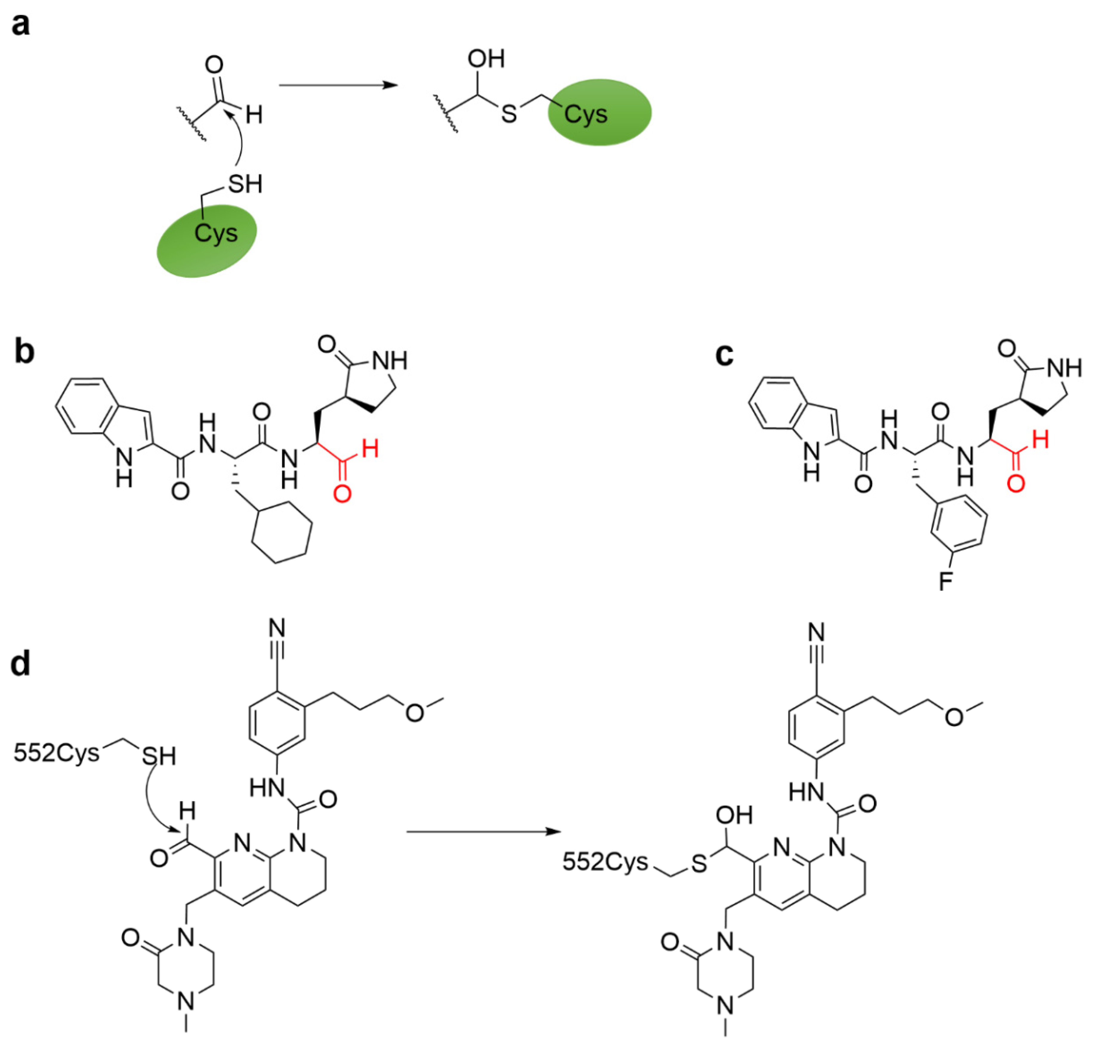 Molecules 27 07728 g012 Molecules 27 07728 g012