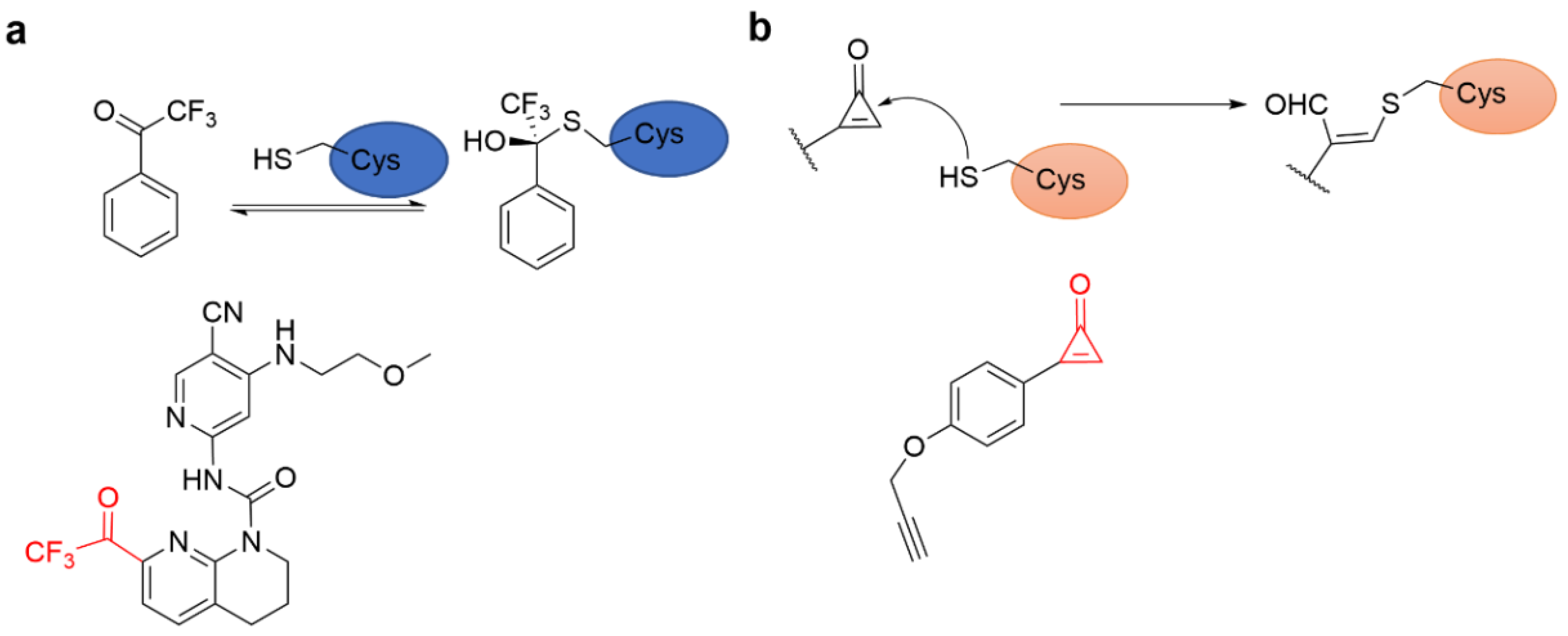 Molecules 27 07728 g013 Molecules 27 07728 g013