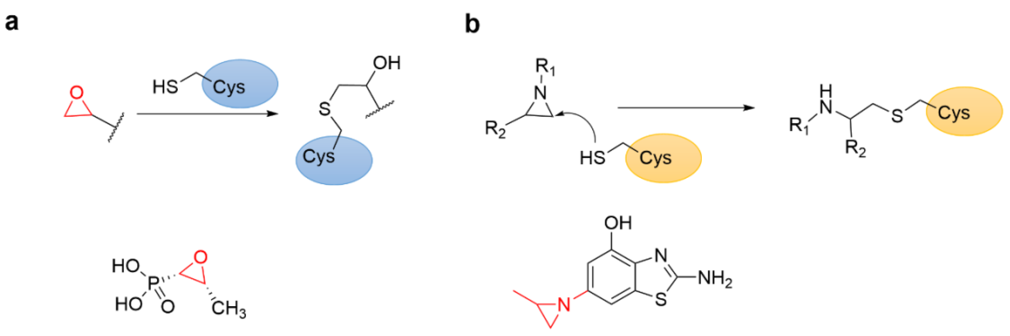Molecules 27 07728 g014 Molecules 27 07728 g014