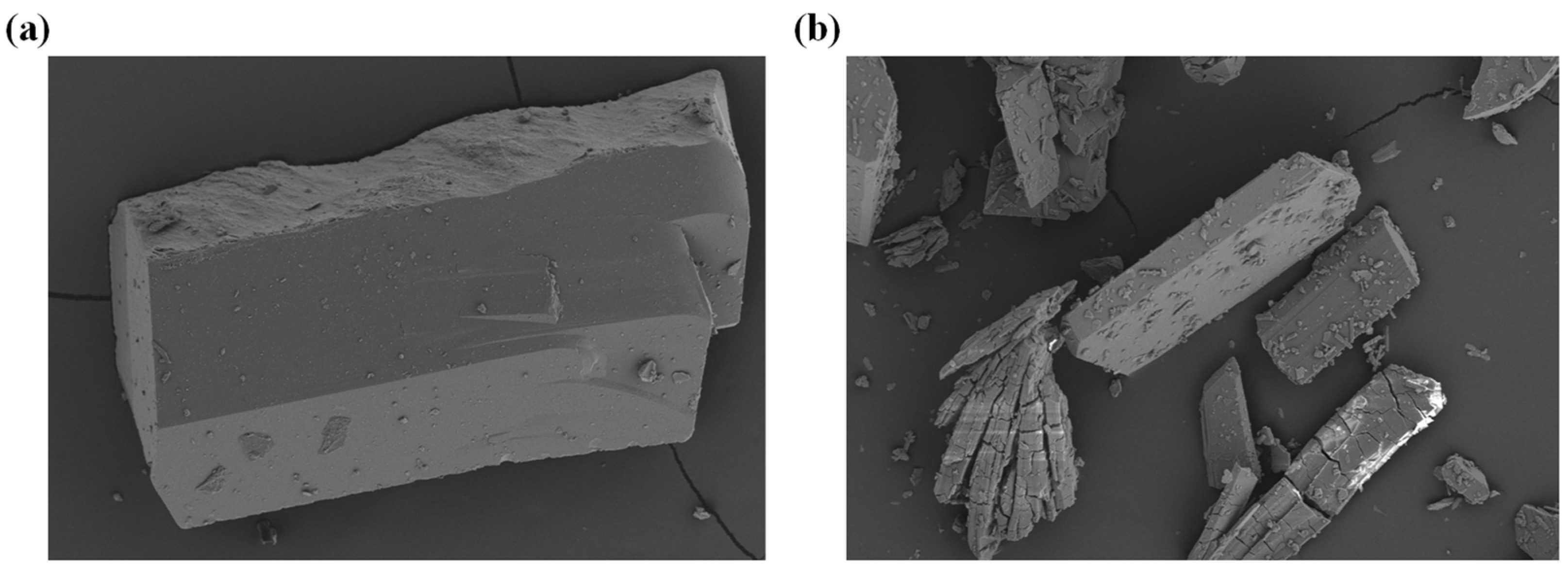 Molecules 27 07731 g011 Molecules 27 07731 g011