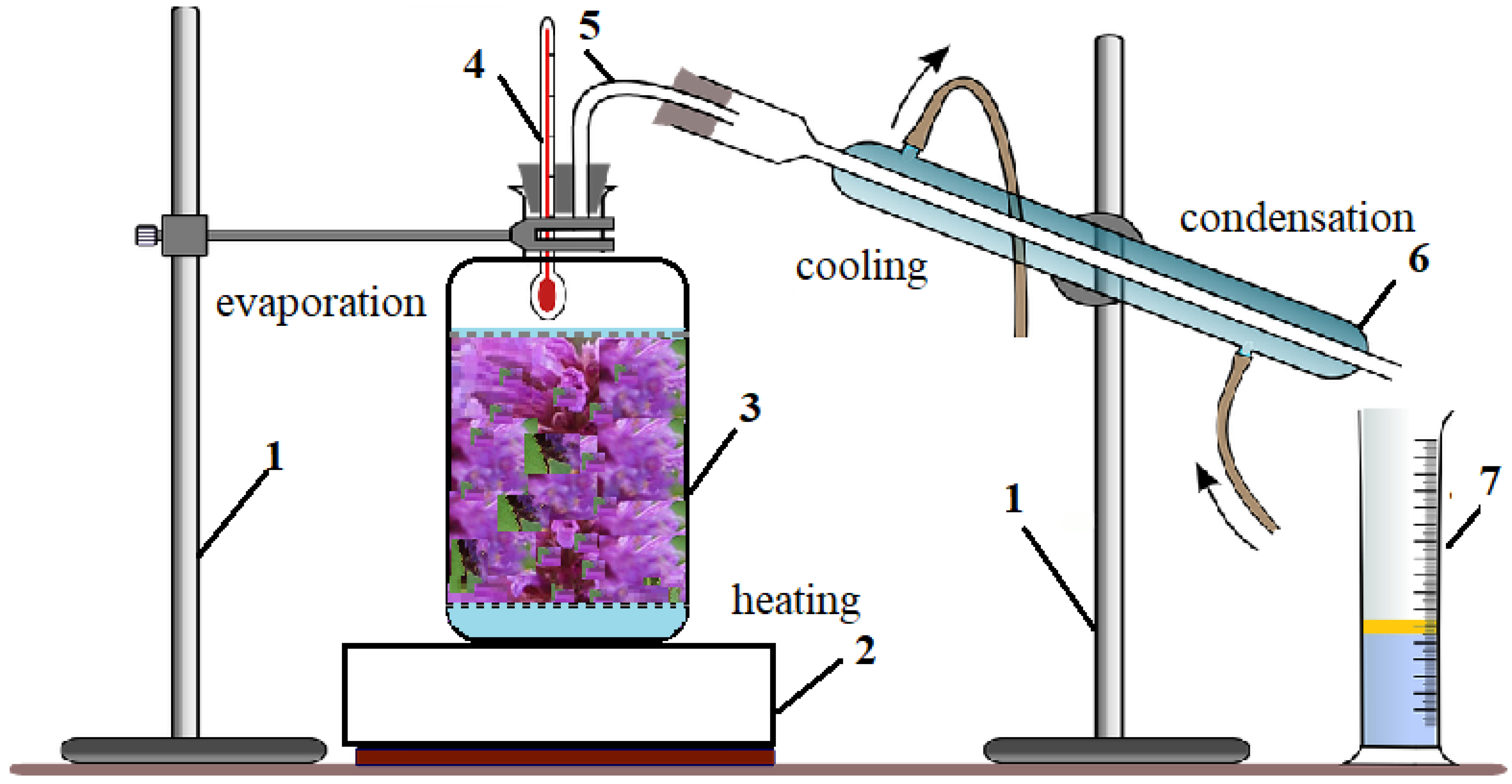 Molecules 27 07737 g005 Molecules 27 07737 g005